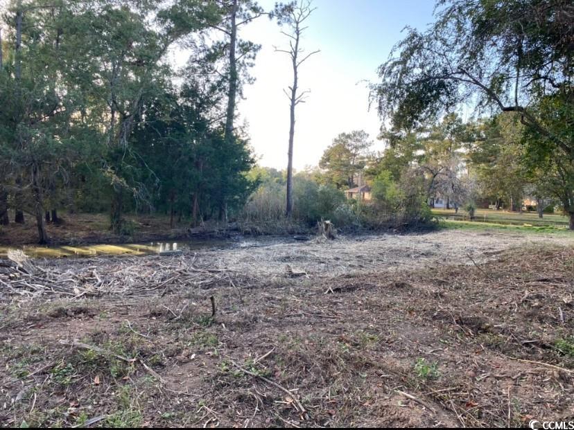 Tbd Martin Ln. Property Photo 17