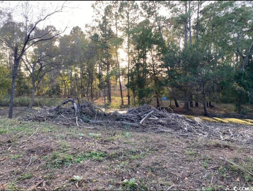 Tbd Martin Ln. Property Photo 18