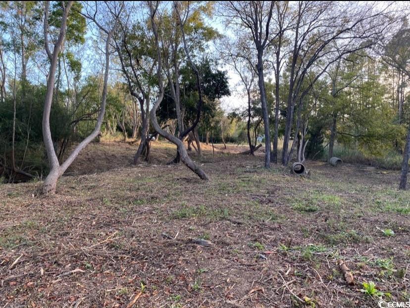 Tbd Martin Ln. Property Photo 19
