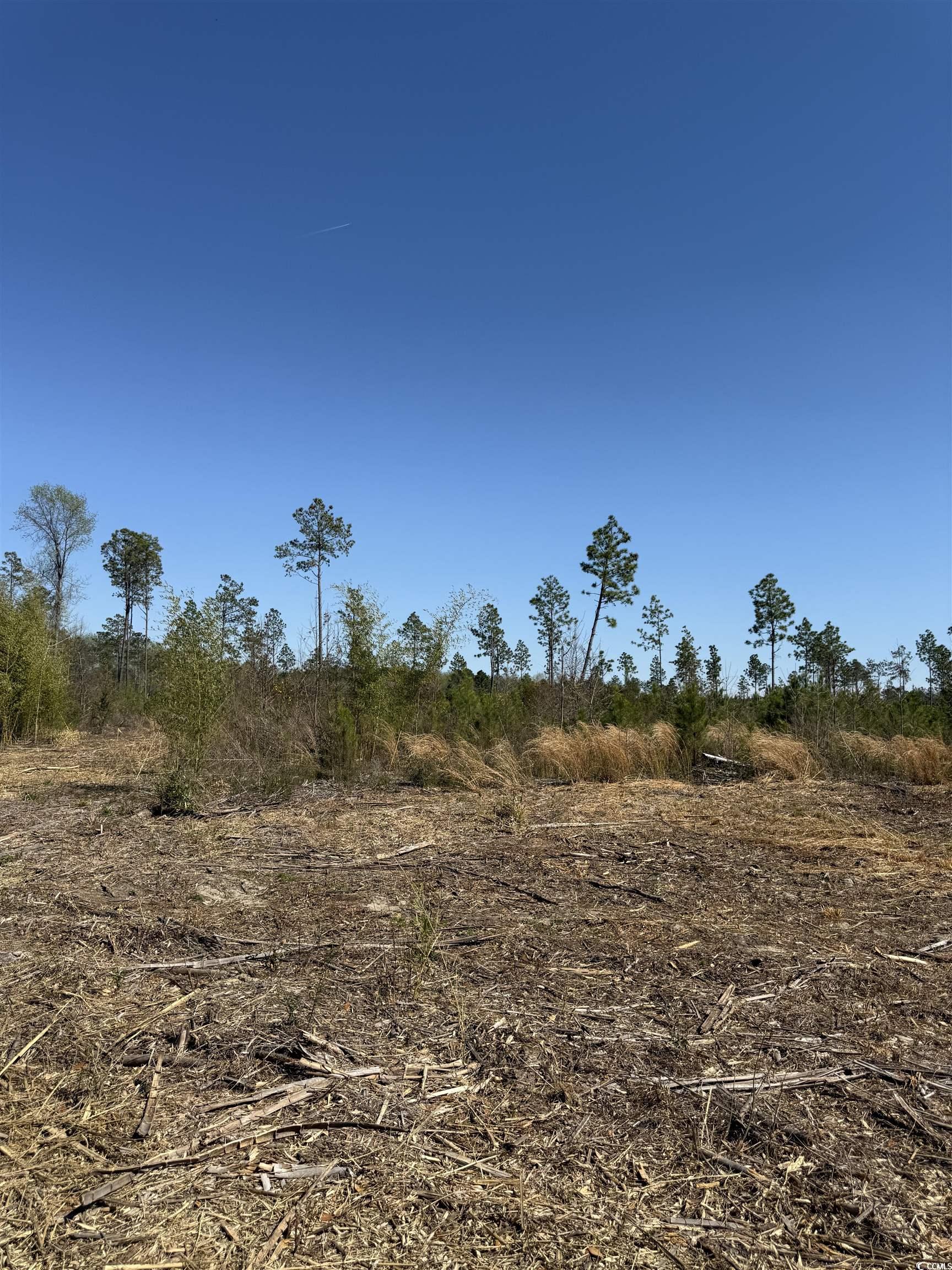 Tbd Mincey Dr. Property Photo 1