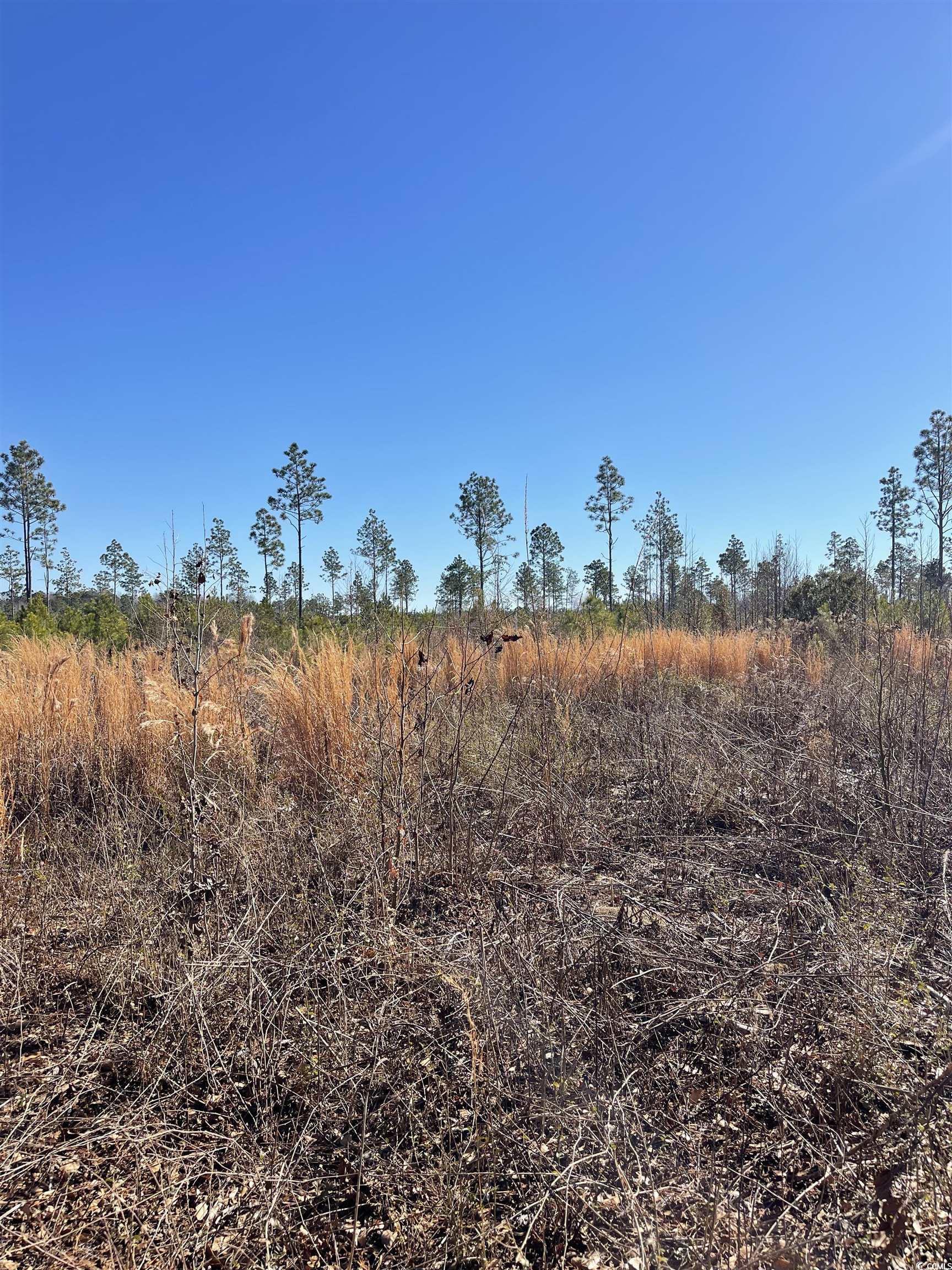 Tbd Mincey Dr. Property Photo 2