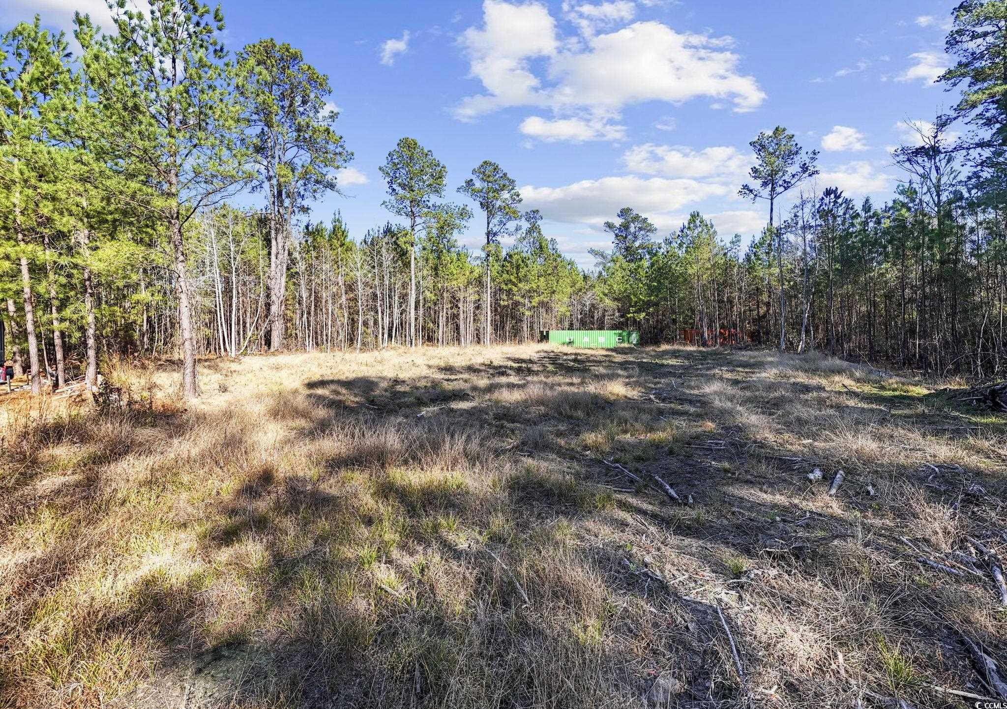 705 Catclaw Rd. Property Photo 19