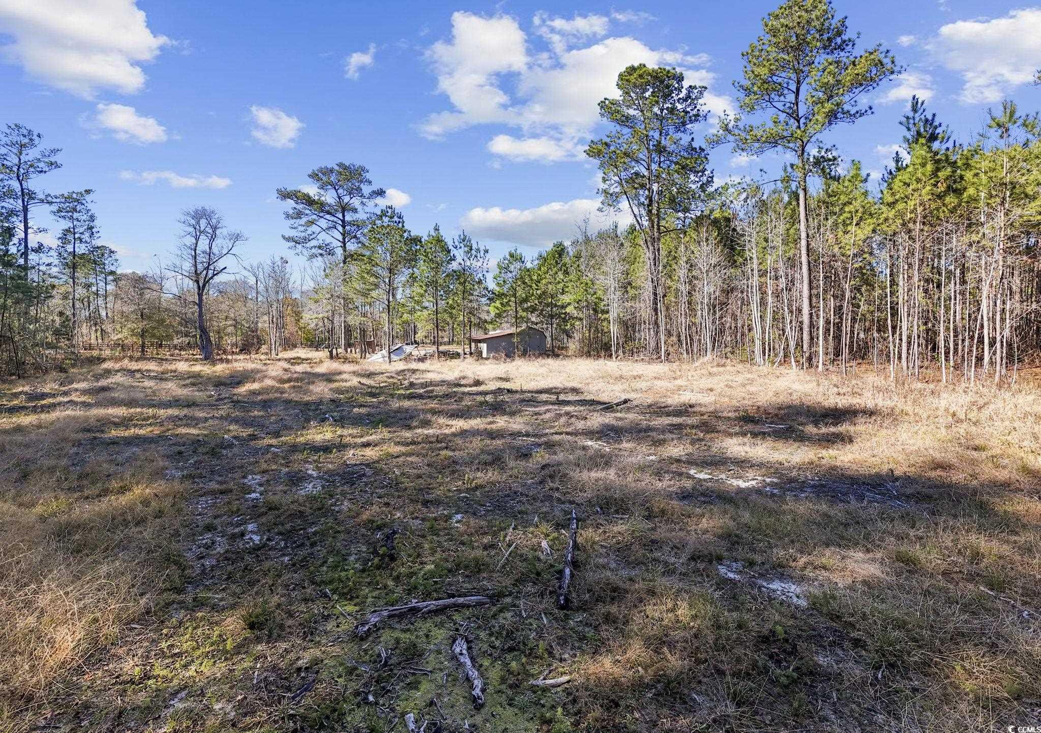705 Catclaw Rd. Property Photo 20
