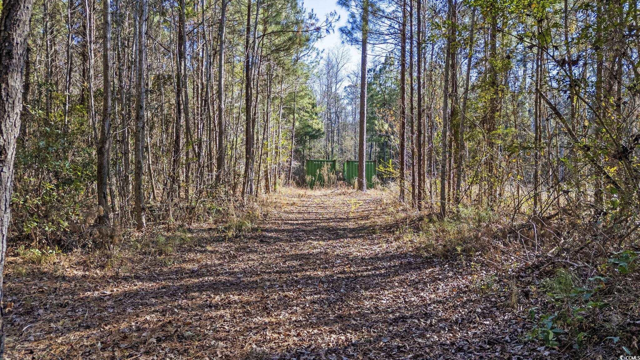 705 Catclaw Rd. Property Photo 21