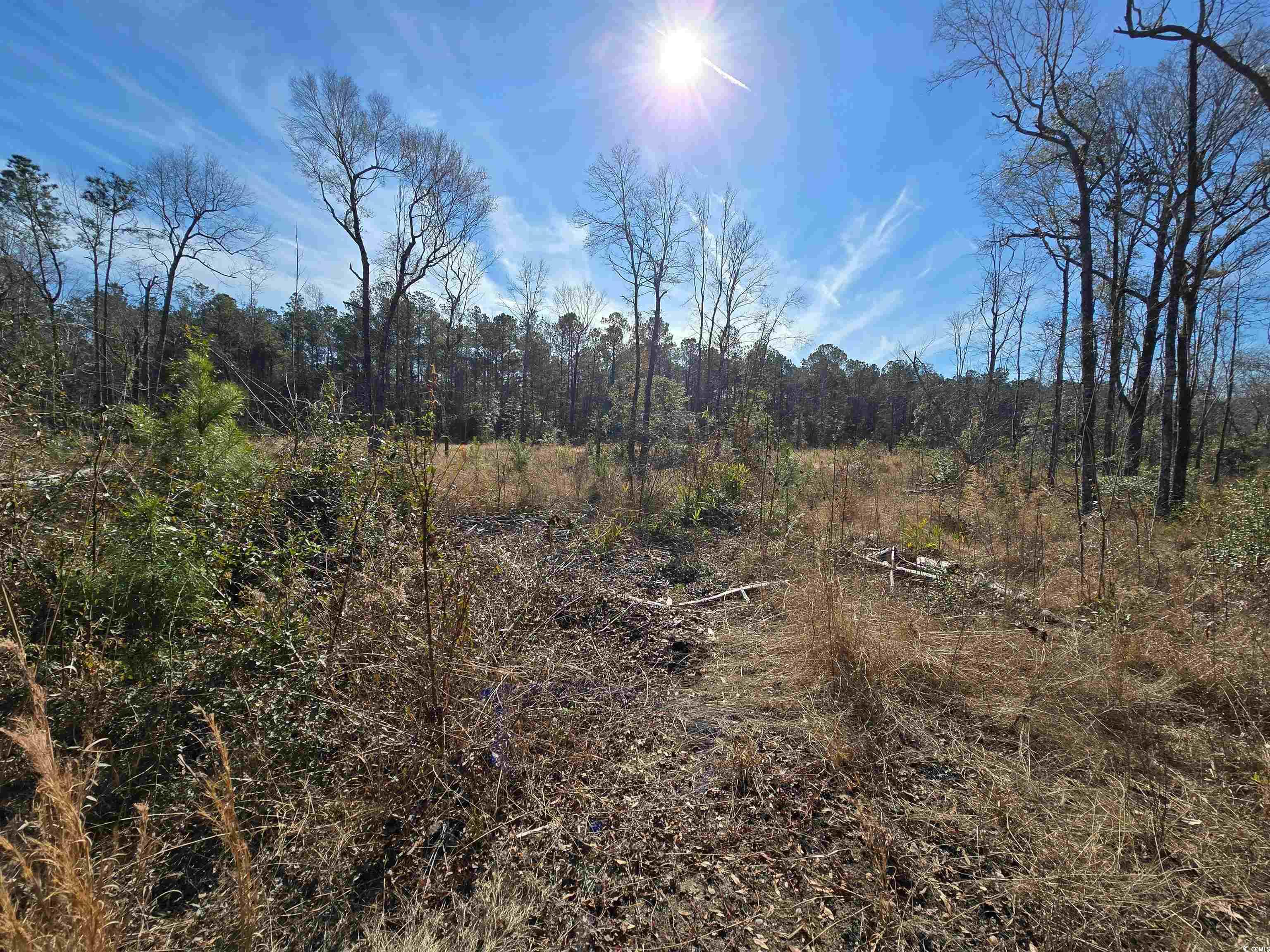 Tbd 3 Pauley Swamp Rd. Property Photo 2