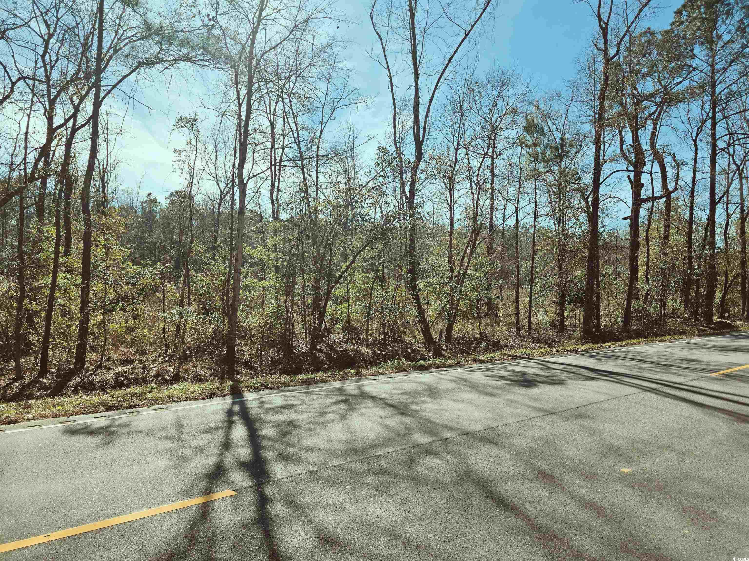 Tbd 3 Pauley Swamp Rd. Property Photo 5