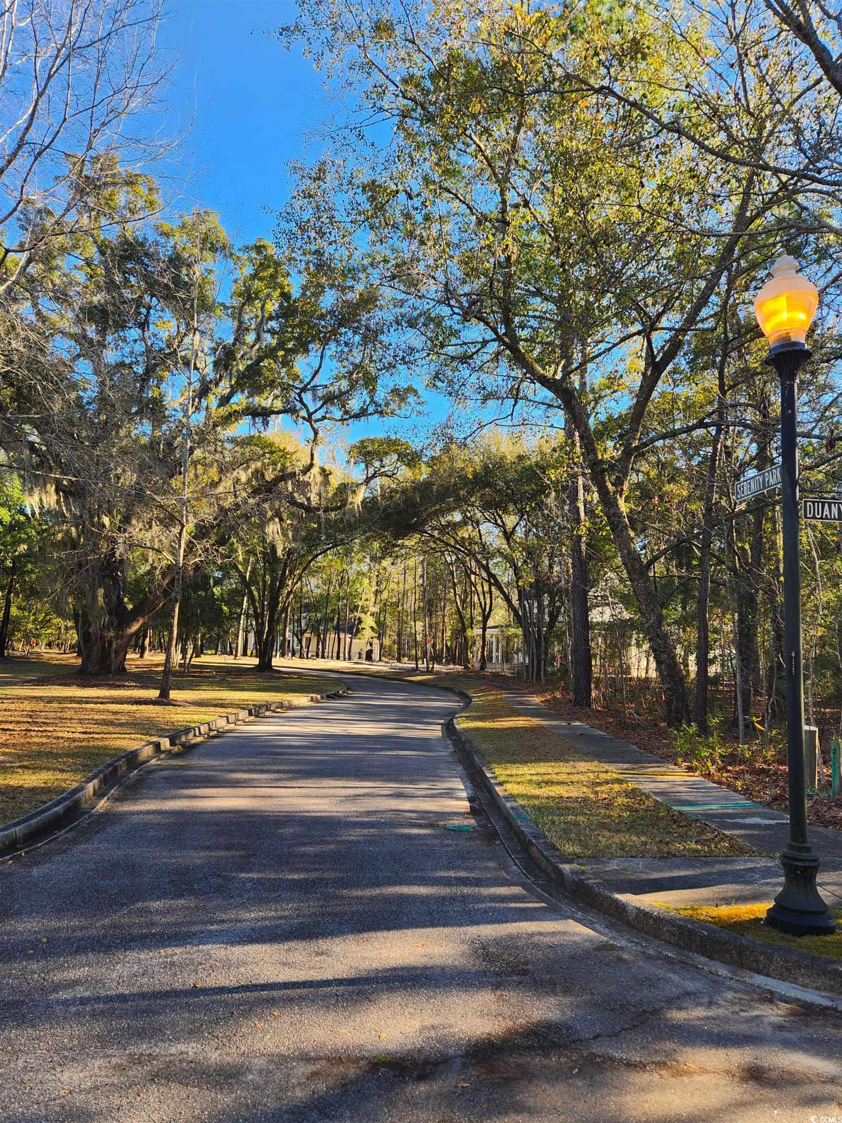 Lot 20 Serenity Park Ln Property Photo 7