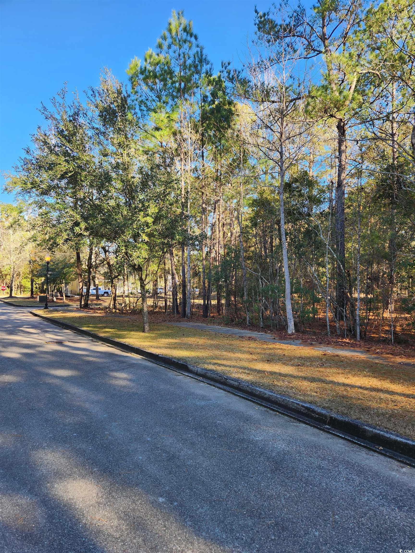 Lot 20 Serenity Park Ln Property Photo 24