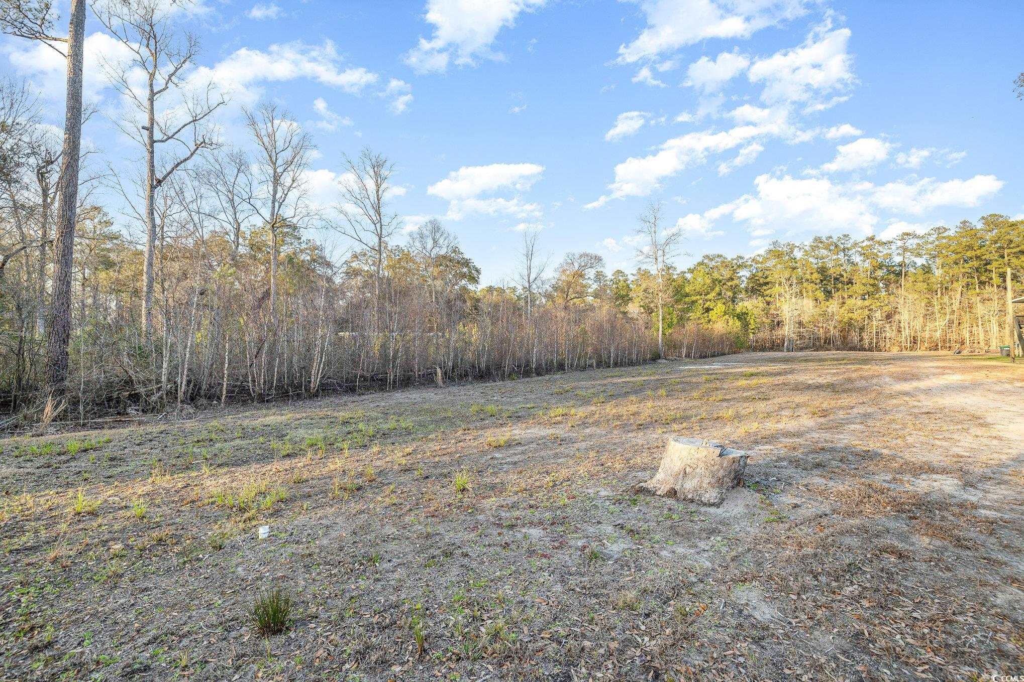 1525 Waccamaw Circle Property Photo 3