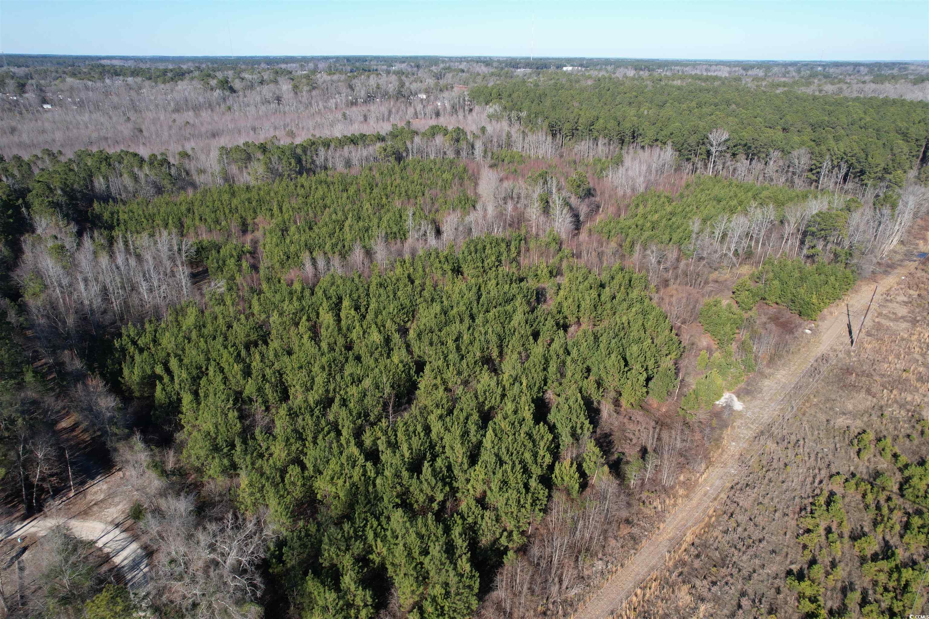 24ac E Black Creek Rd. Property Photo 2