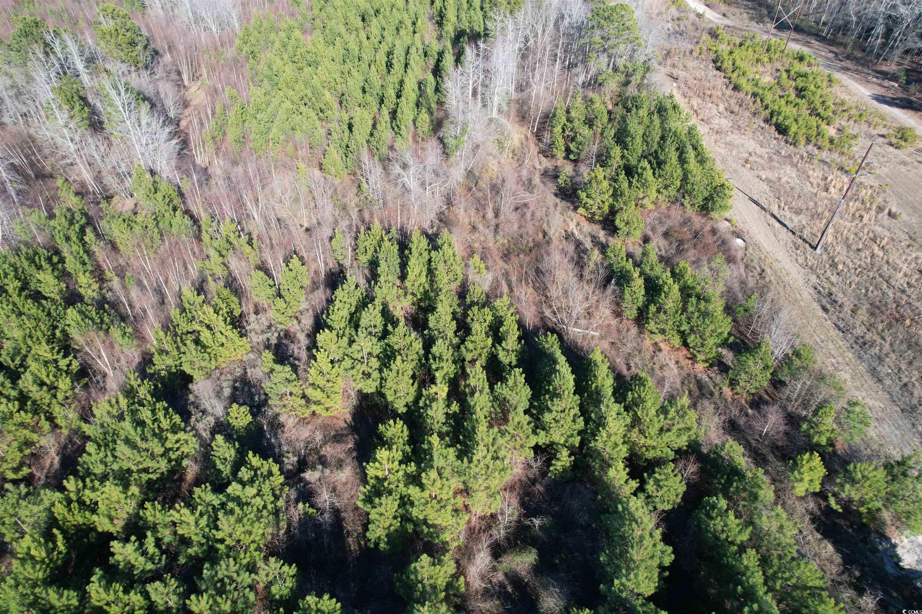 24ac E Black Creek Rd. Property Photo 4