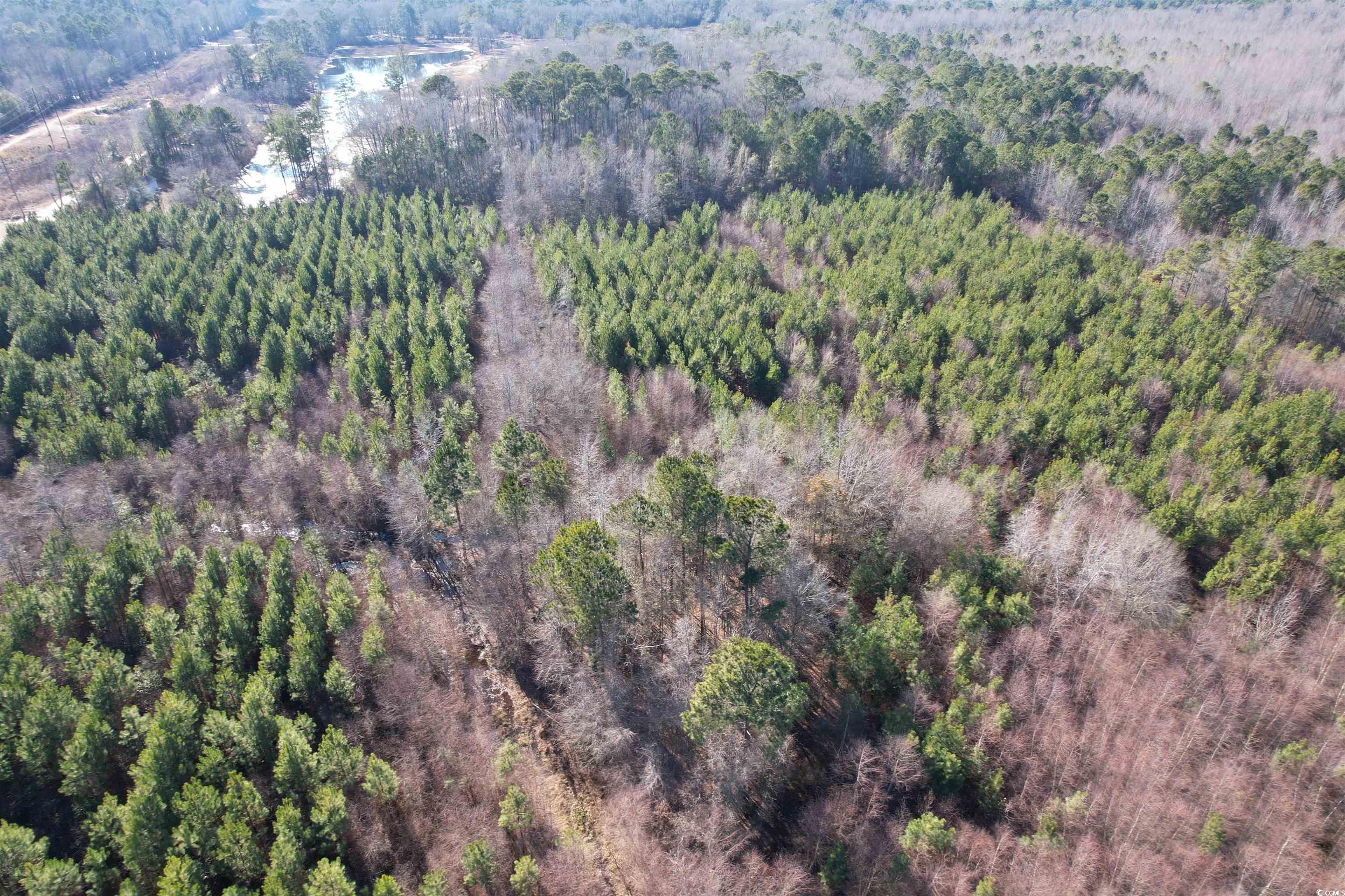 24ac E Black Creek Rd. Property Photo 6
