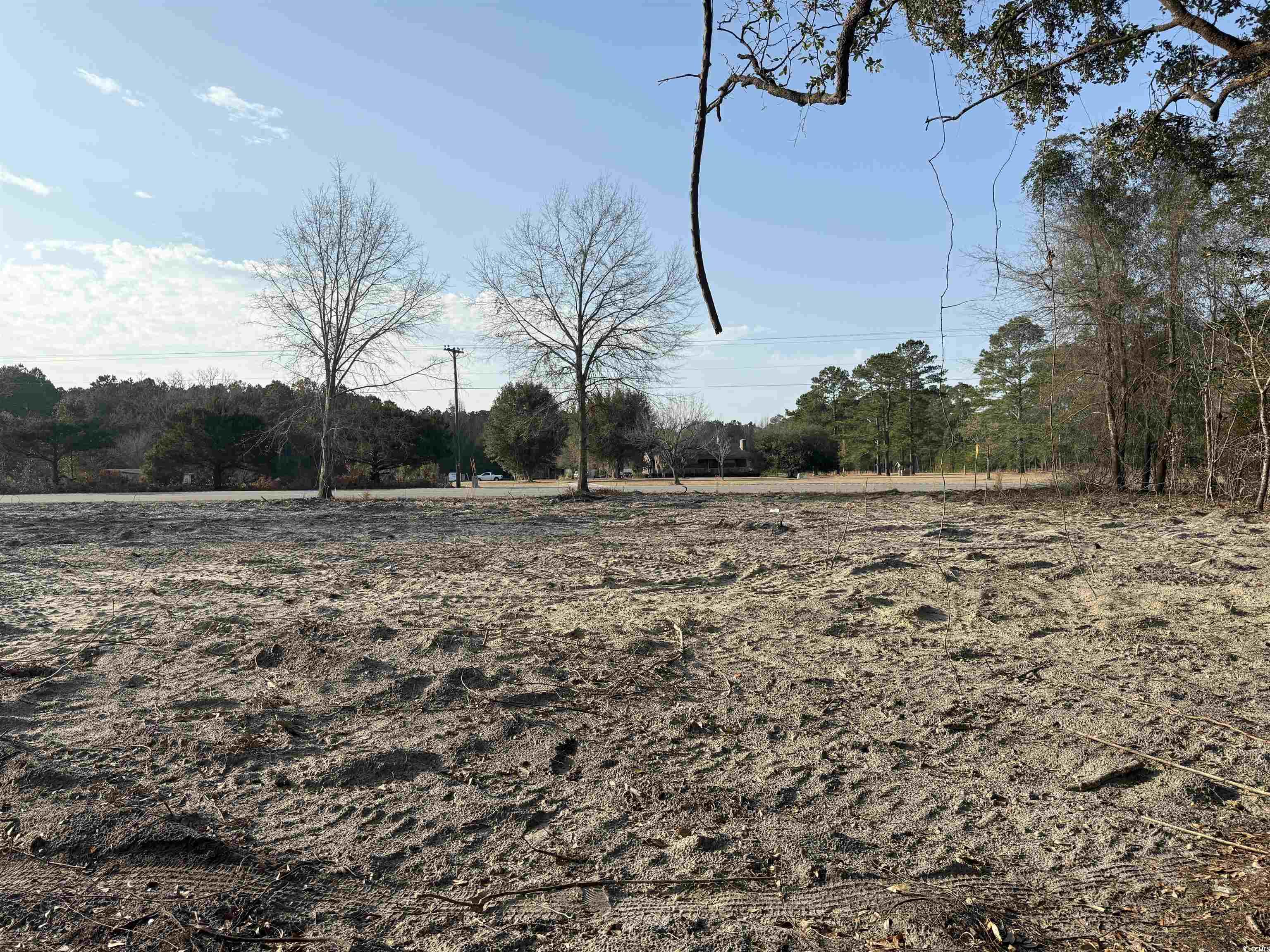 10576 W Highway 19 Property Photo 2