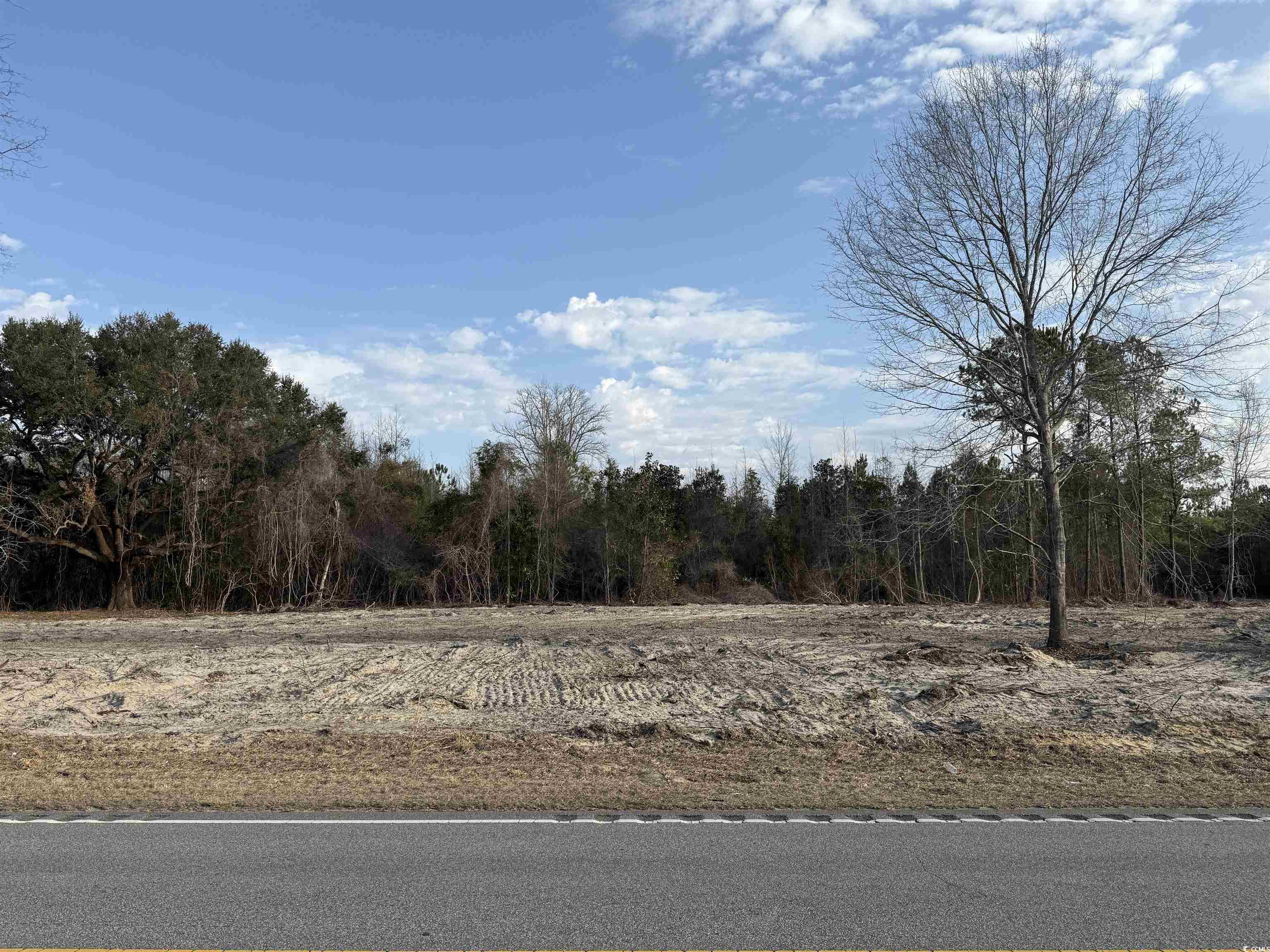 10562 W Highway 19 Property Photo 1