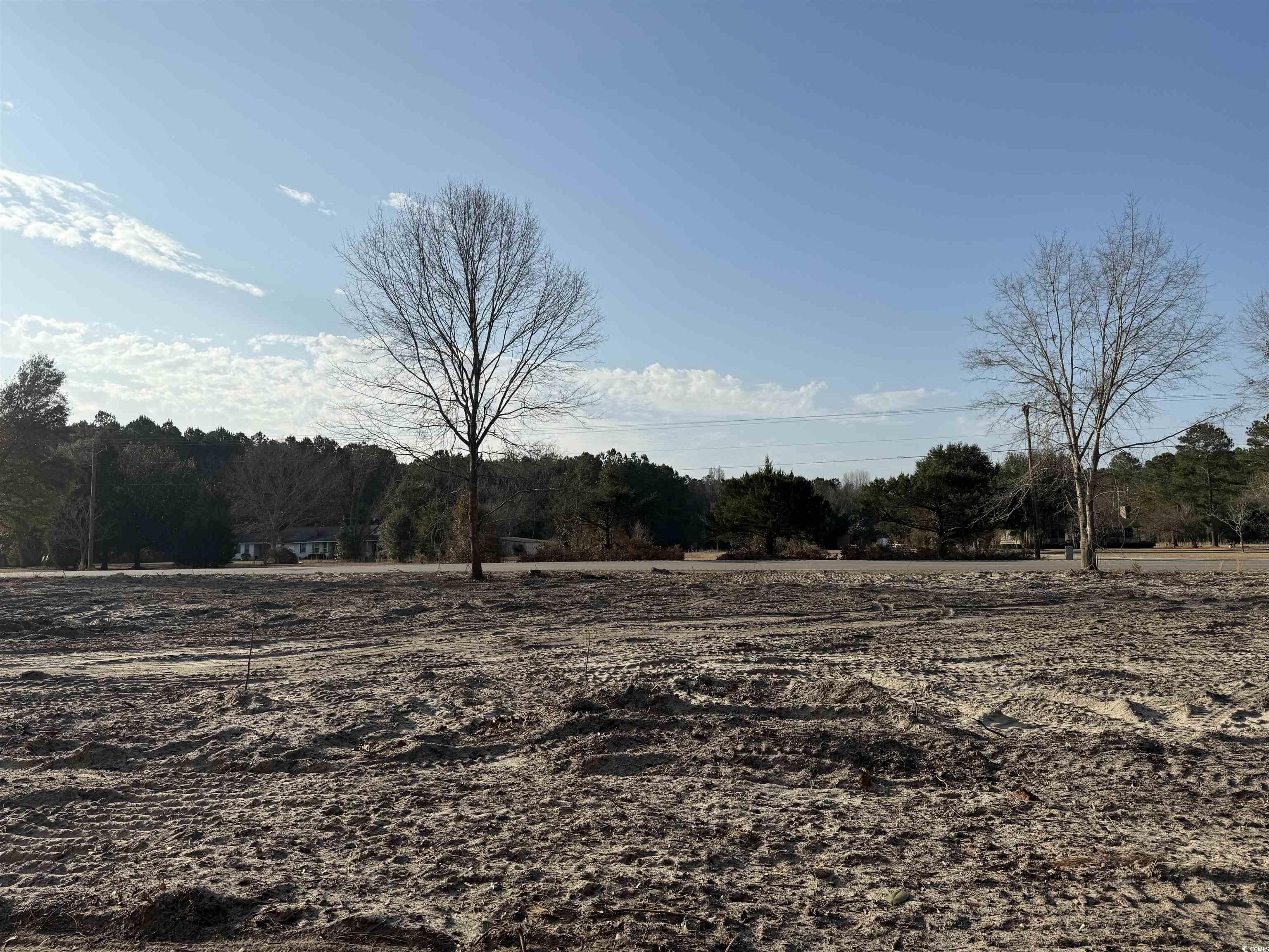 10562 W Highway 19 Property Photo 2