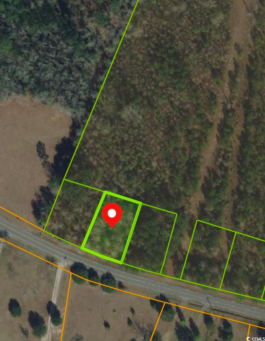 10562 W Highway 19 Property Photo 3