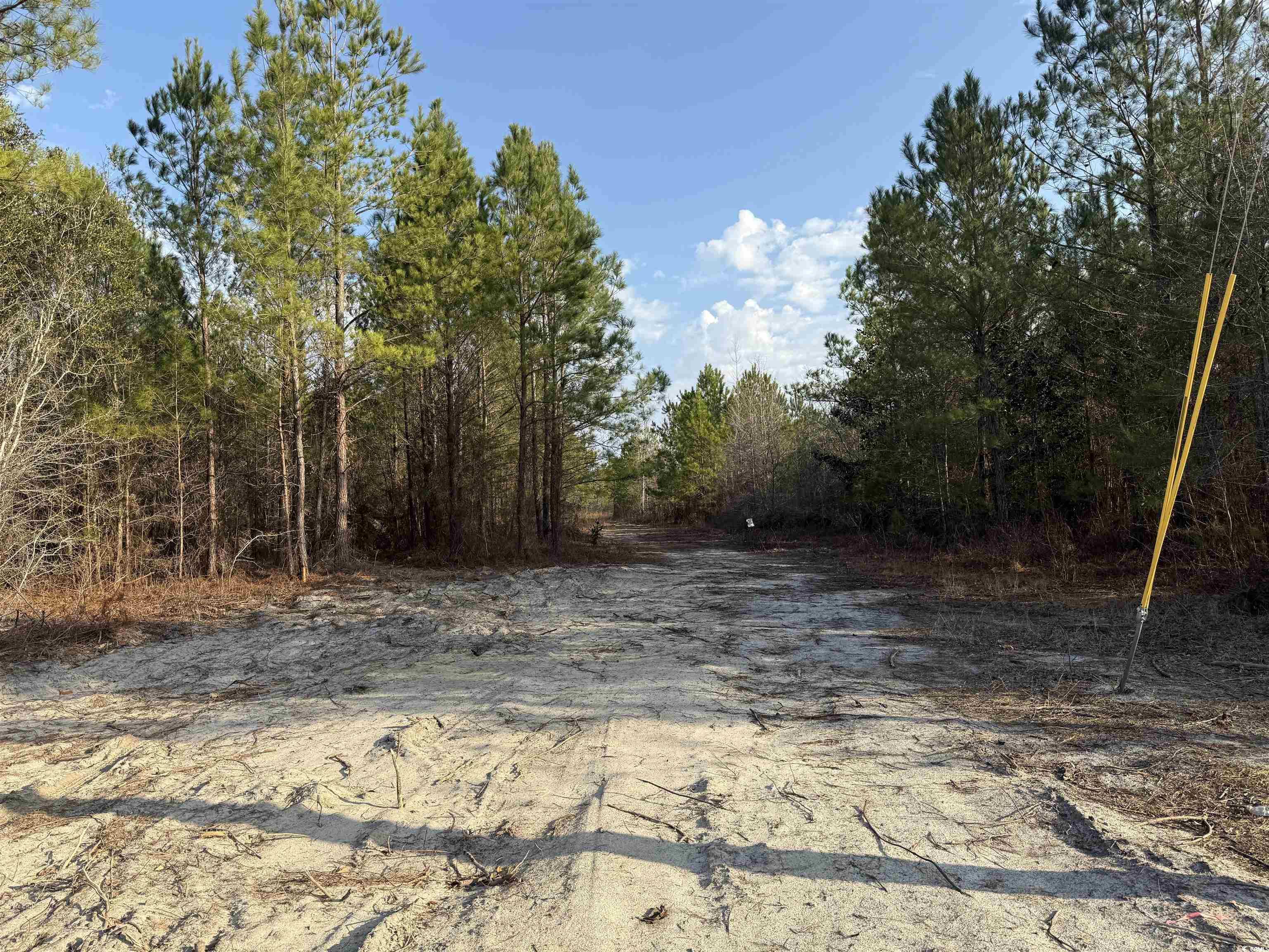 10502 W Highway 19 Property Photo