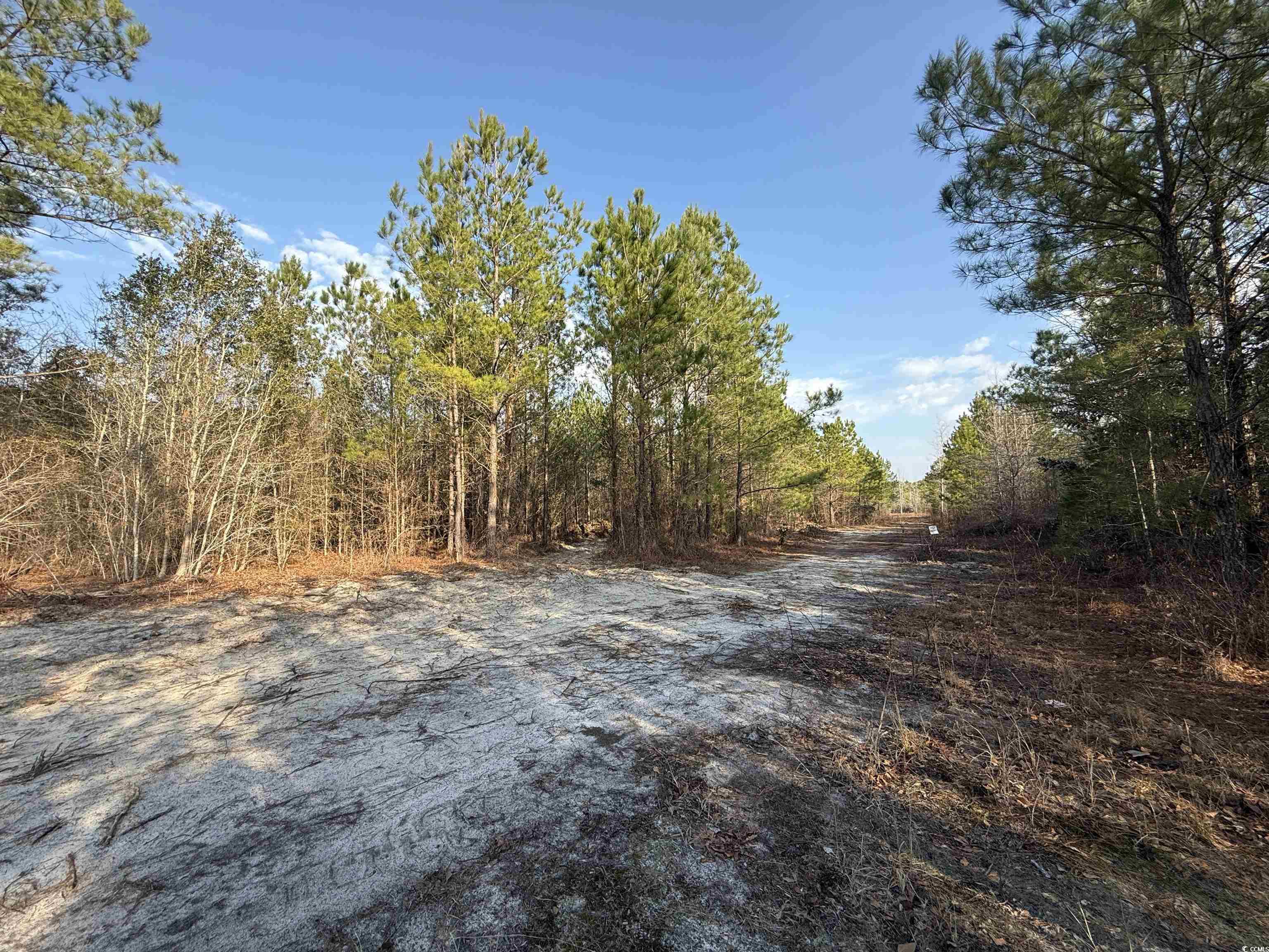 10502 W Highway 19 Property Photo 2