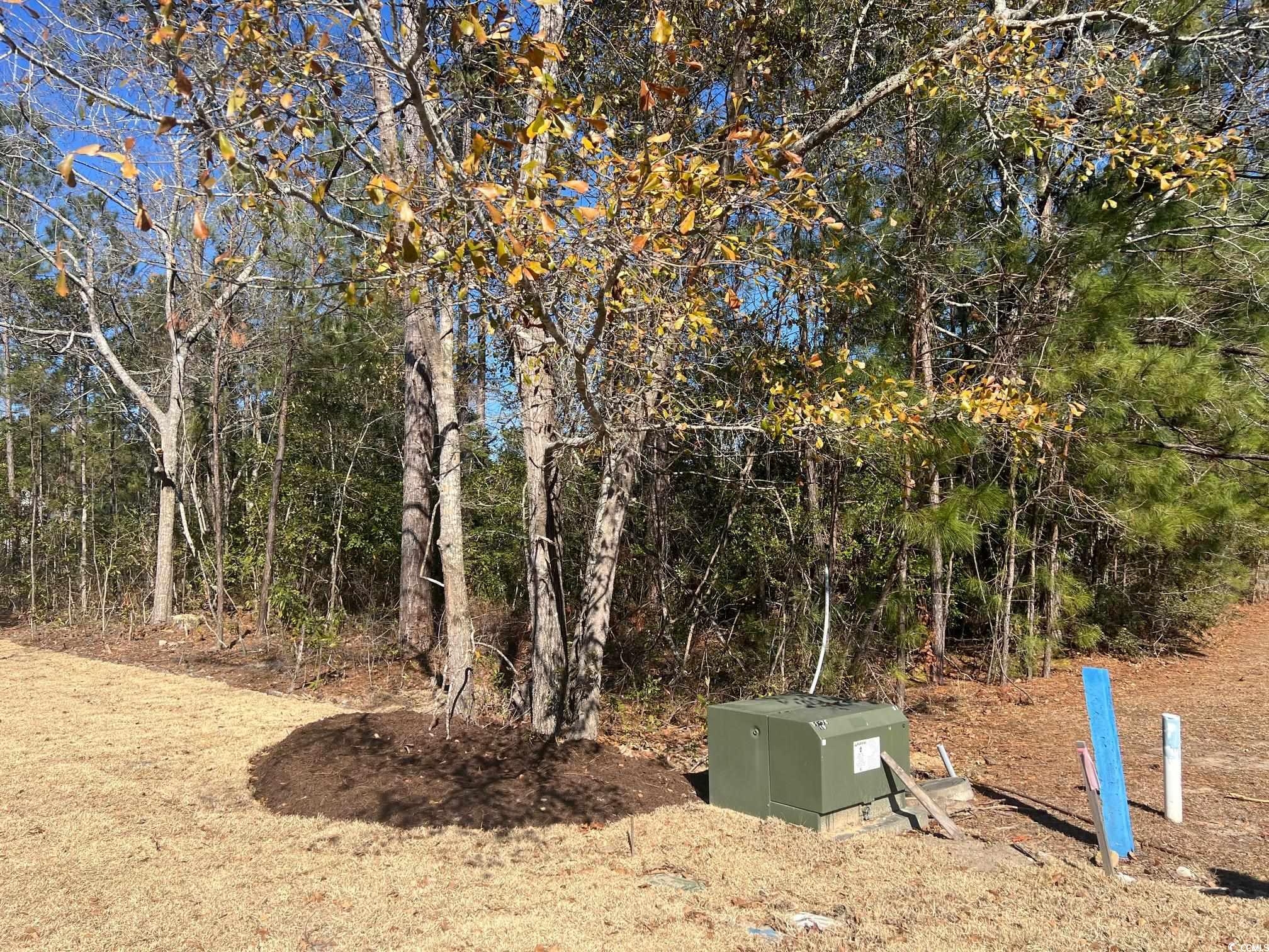 135 Low Country Loop Property Photo 2