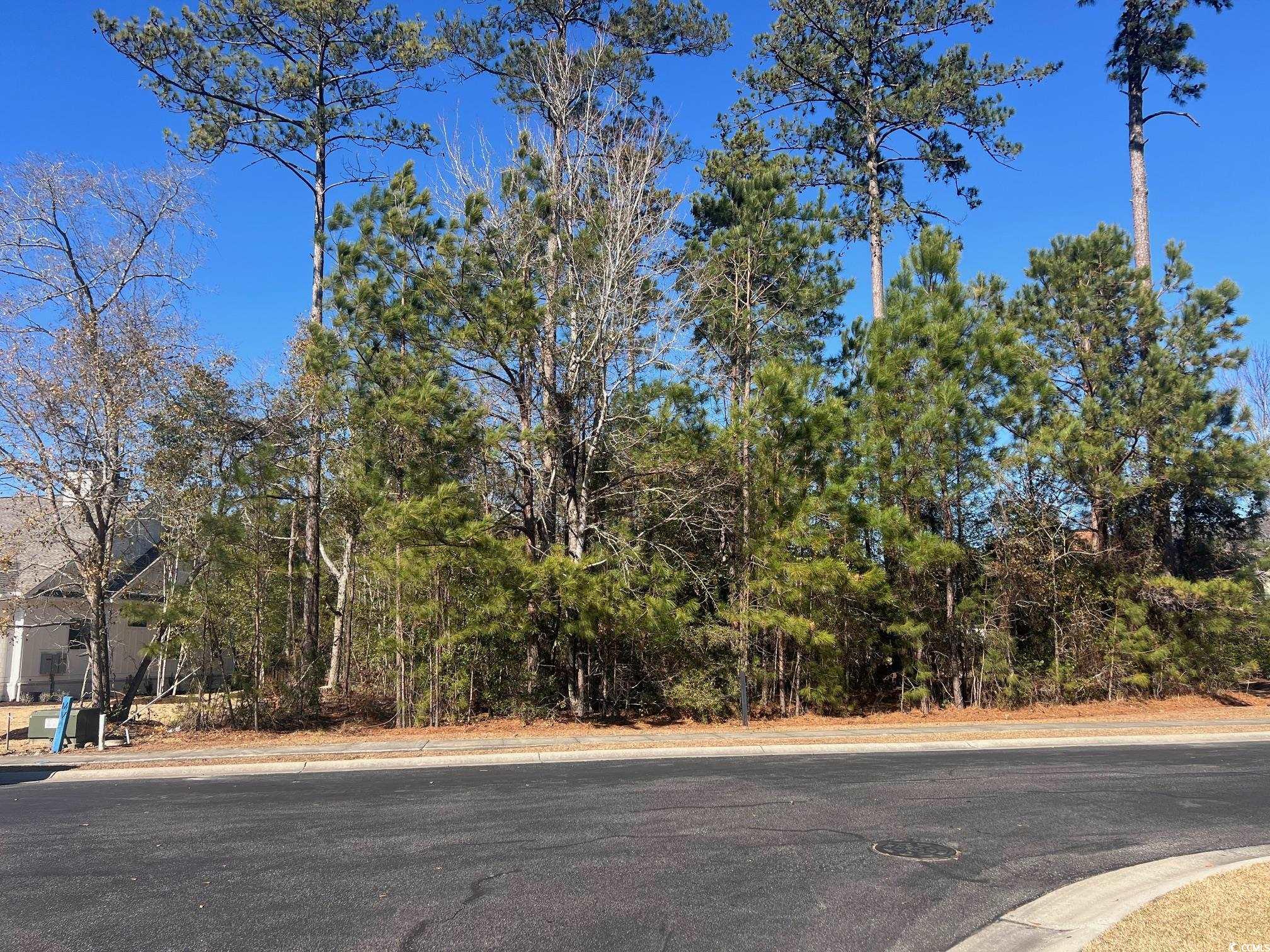 135 Low Country Loop Property Photo 3