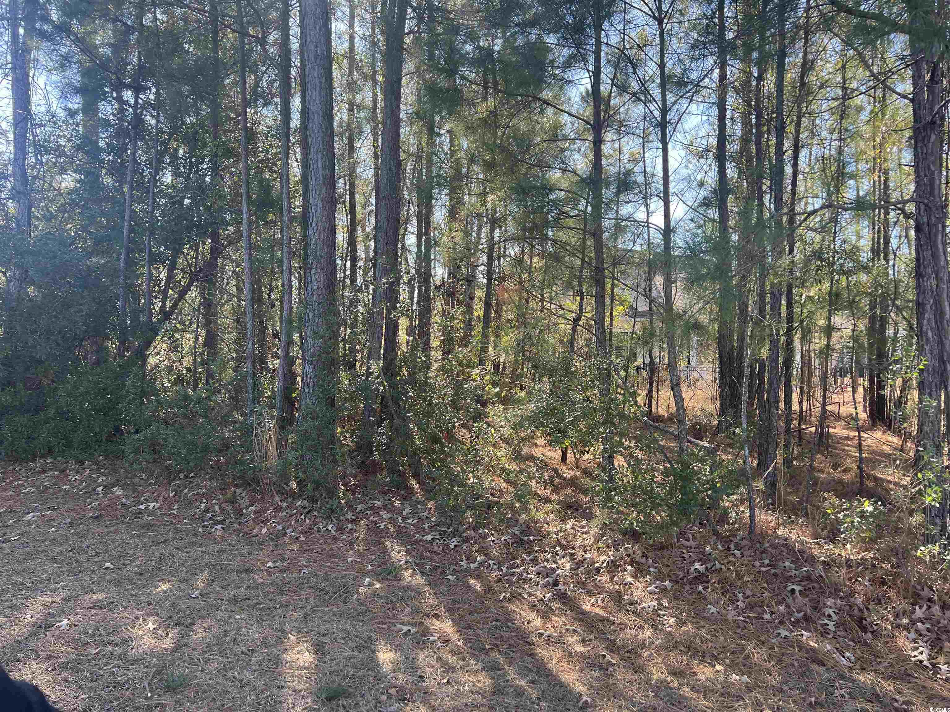 135 Low Country Loop Property Photo 4