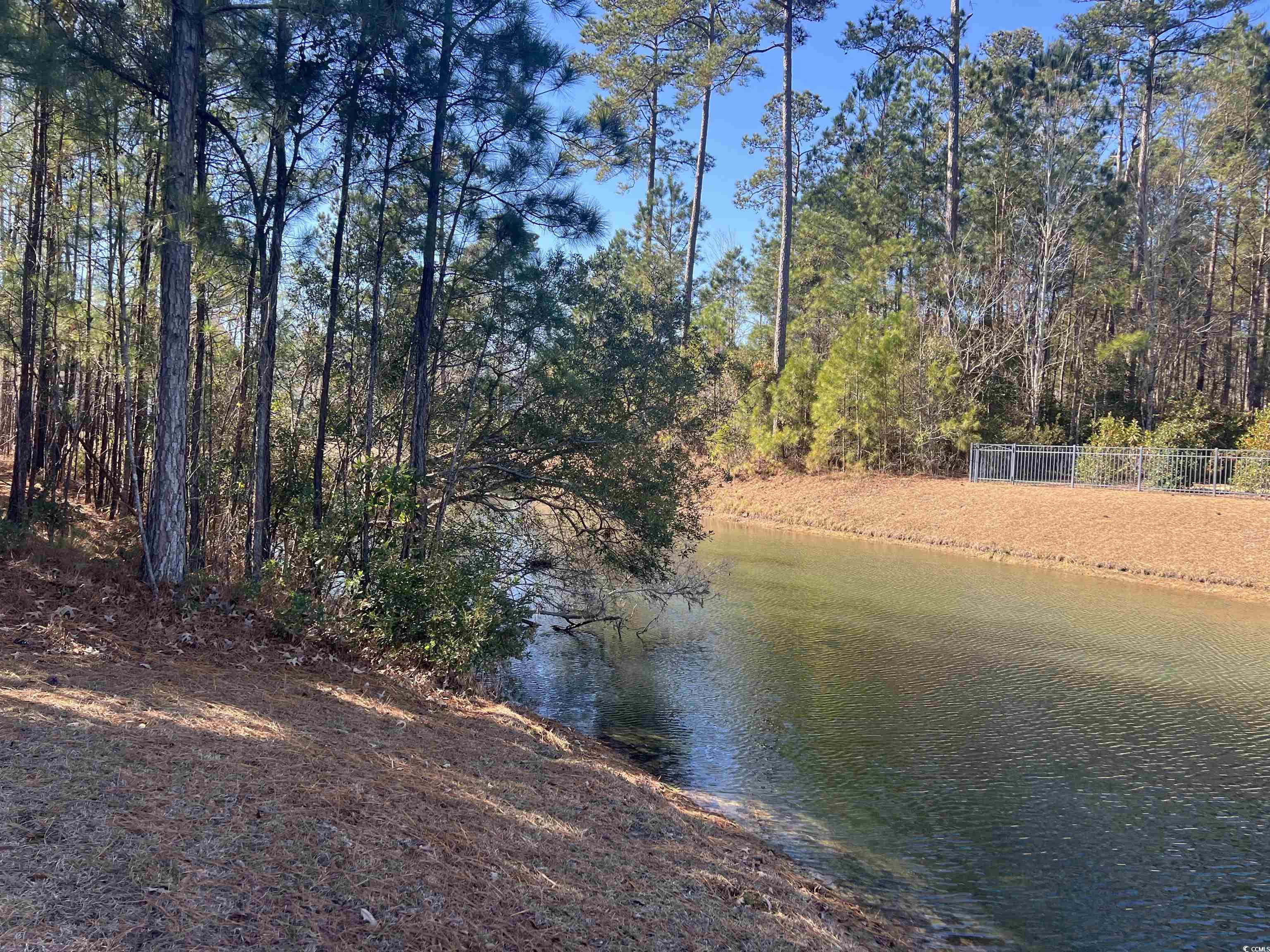 135 Low Country Loop Property Photo 6