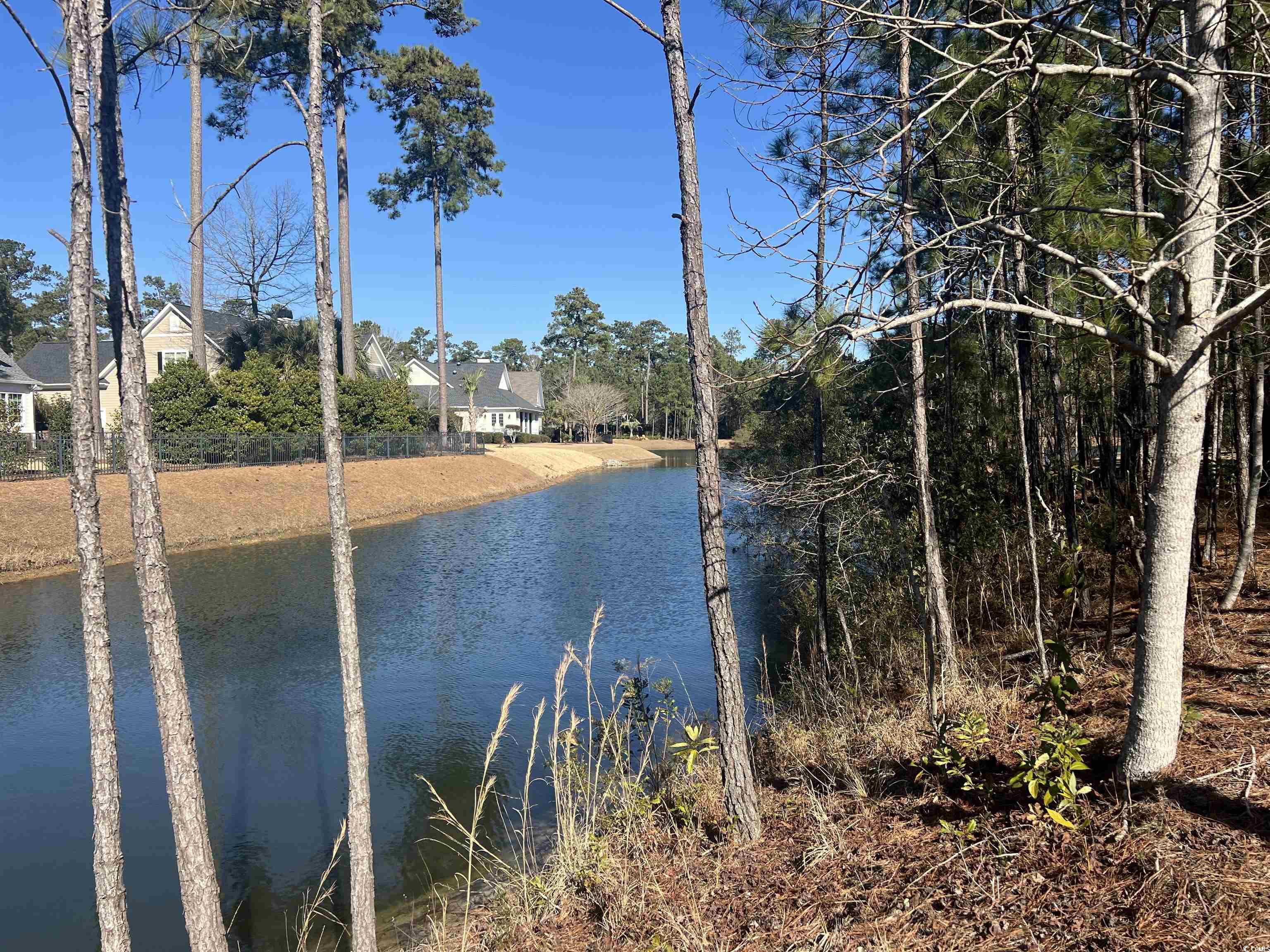 135 Low Country Loop Property Photo 7