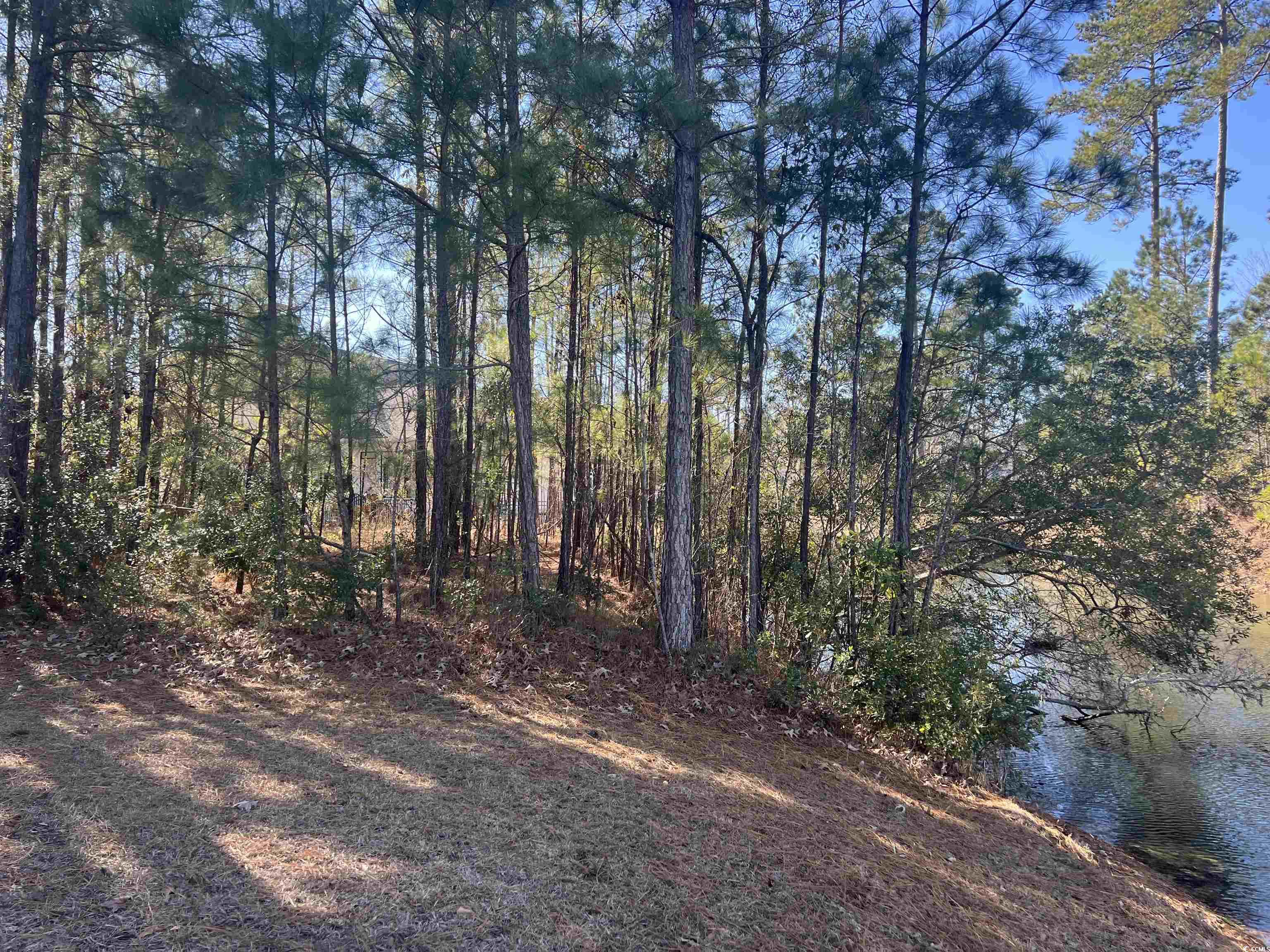135 Low Country Loop Property Photo 9