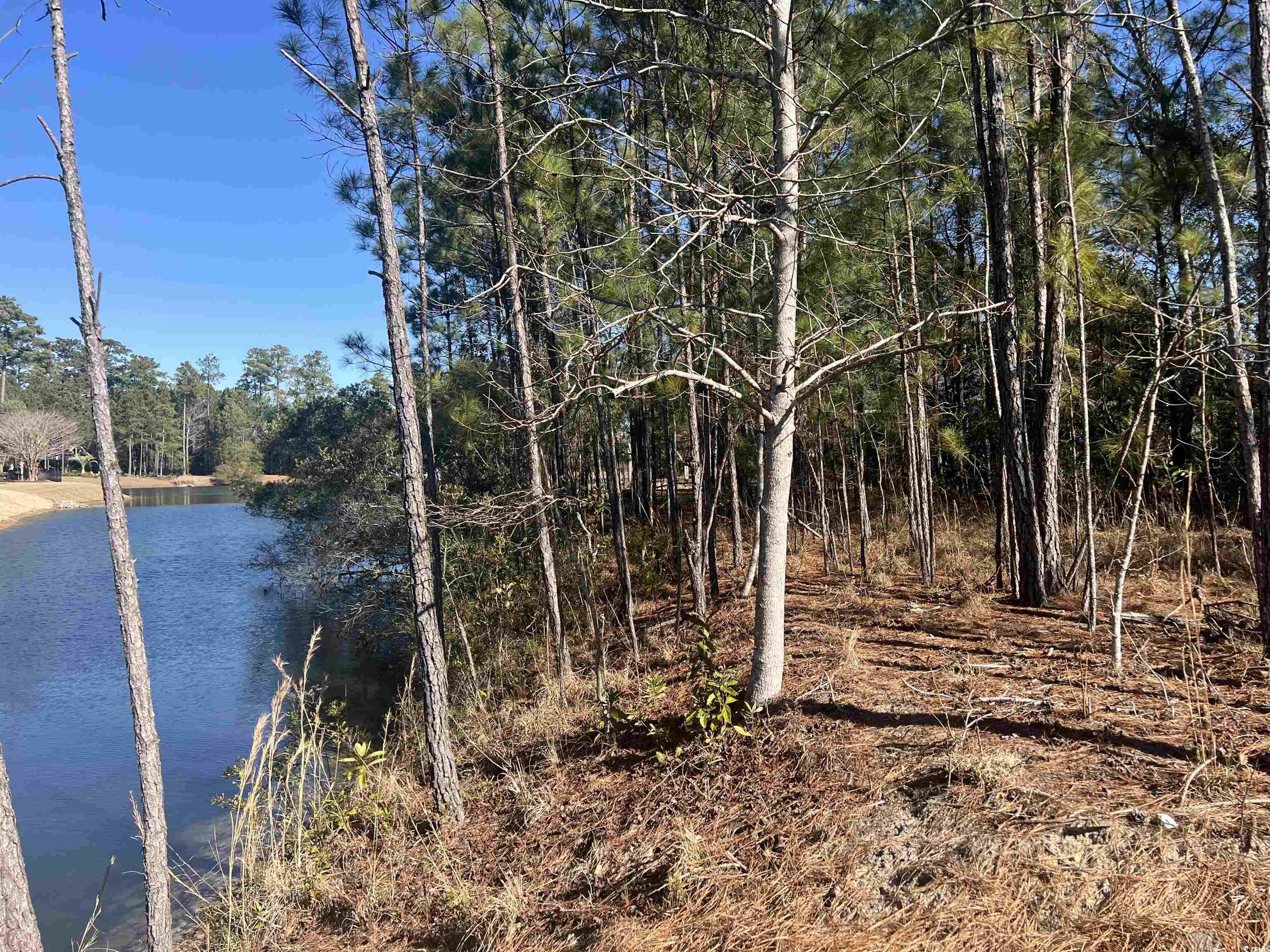 135 Low Country Loop Property Photo 10