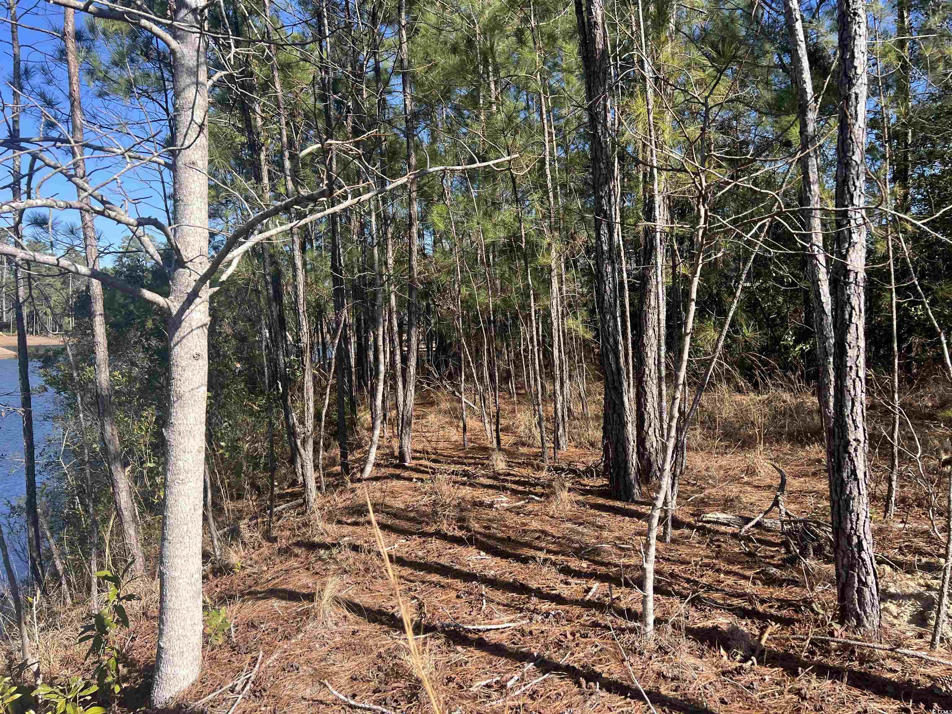 135 Low Country Loop Property Photo 11