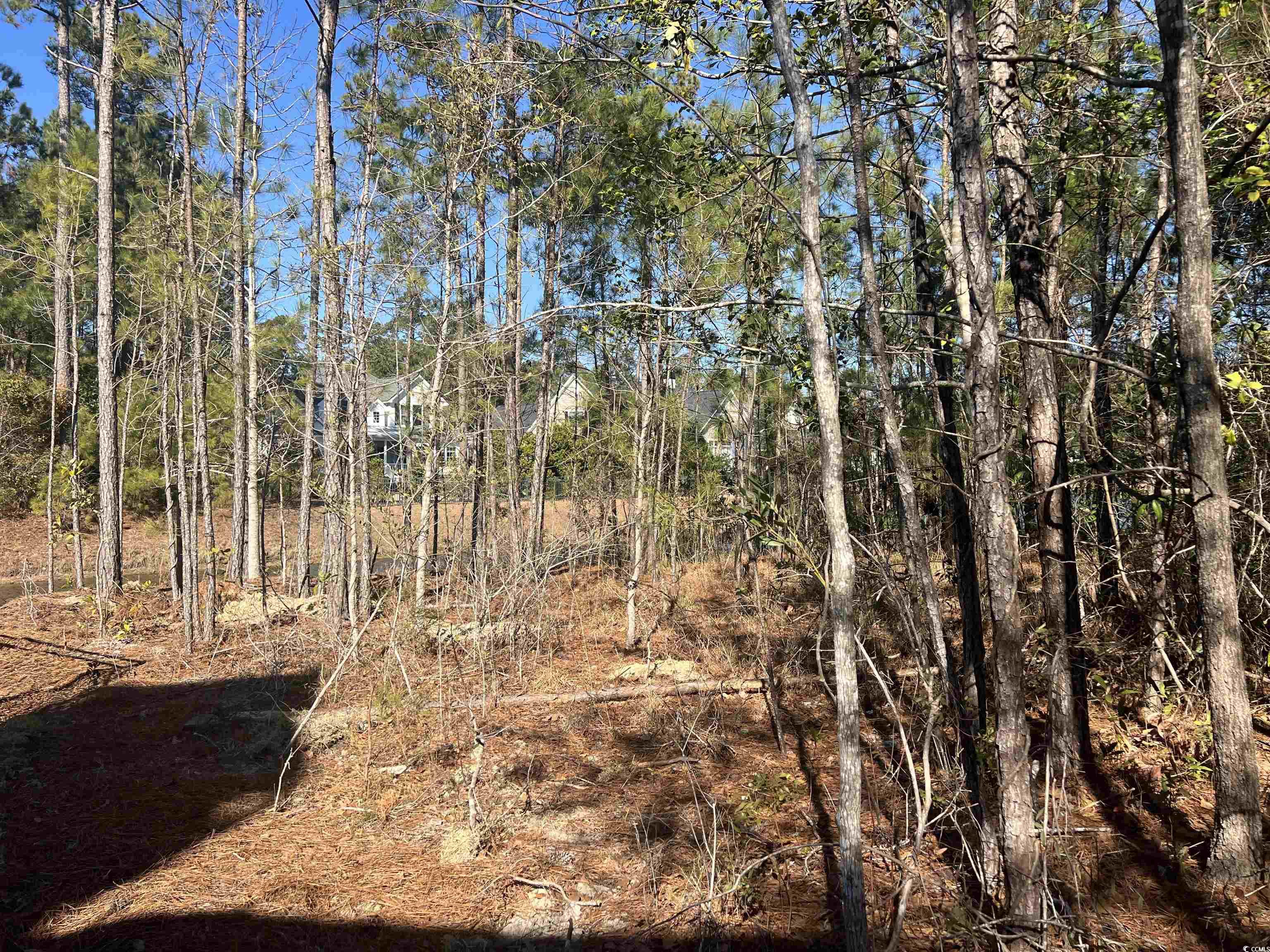 135 Low Country Loop Property Photo 12