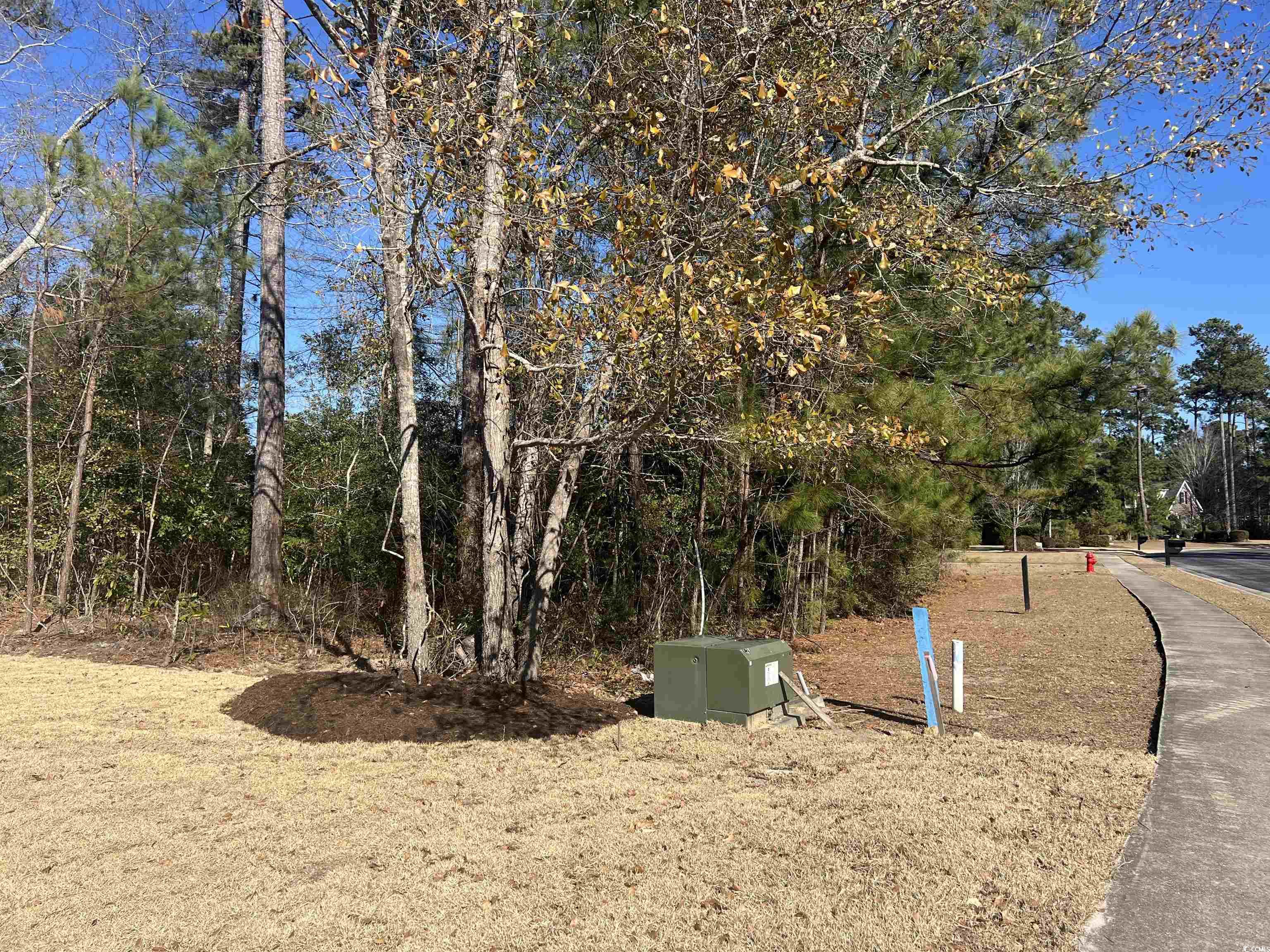 135 Low Country Loop Property Photo 15