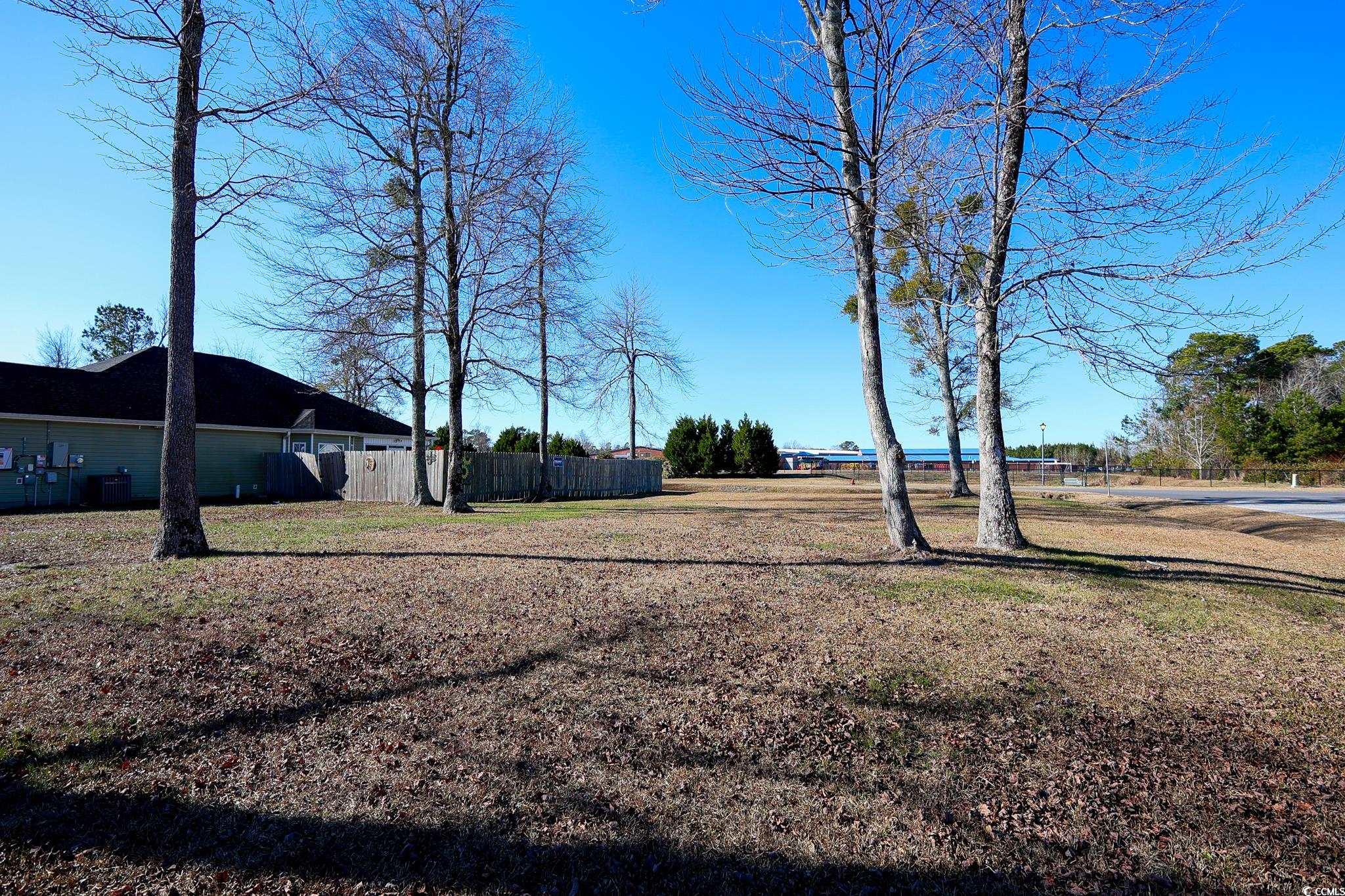 Tbd Lions Paw Ct. Property Photo 3