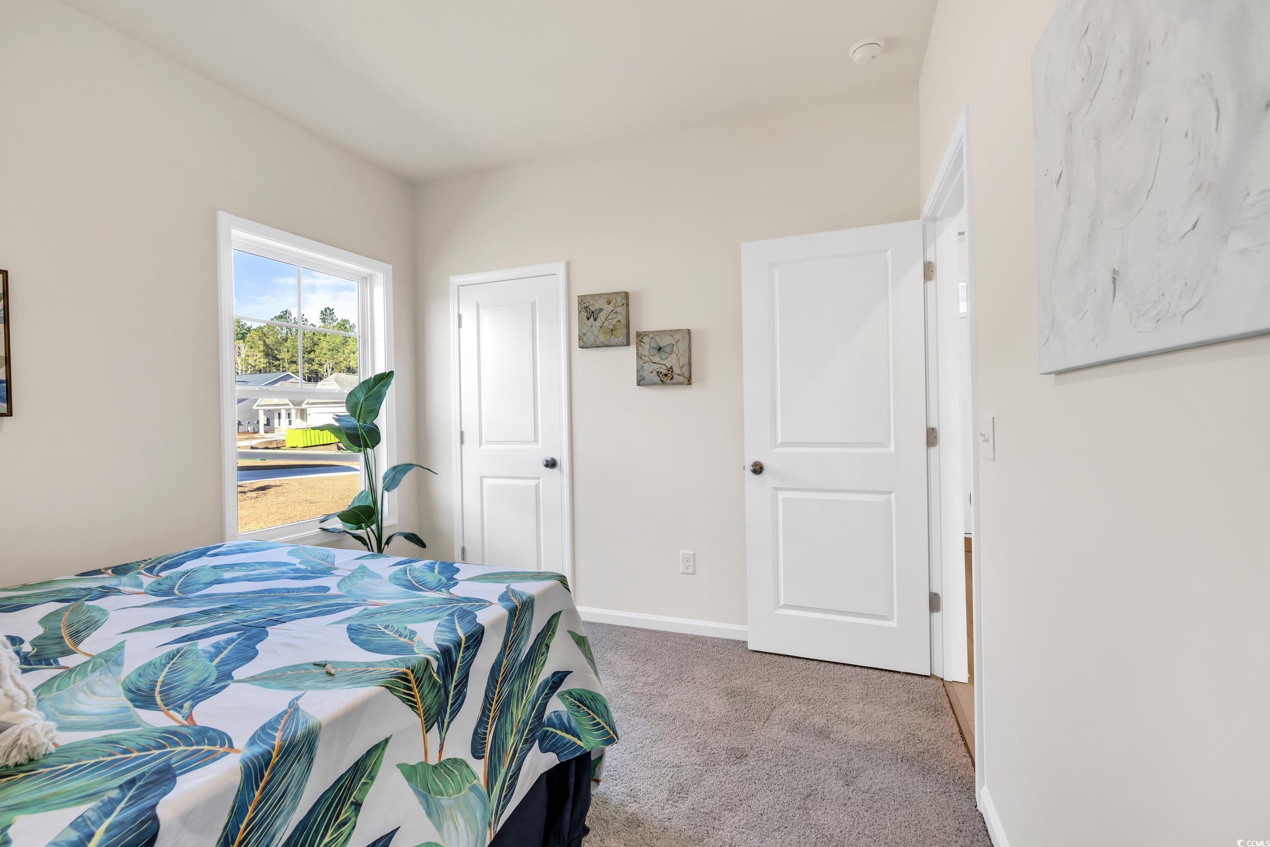 287 Palmetto Sand Loop Property Photo 11