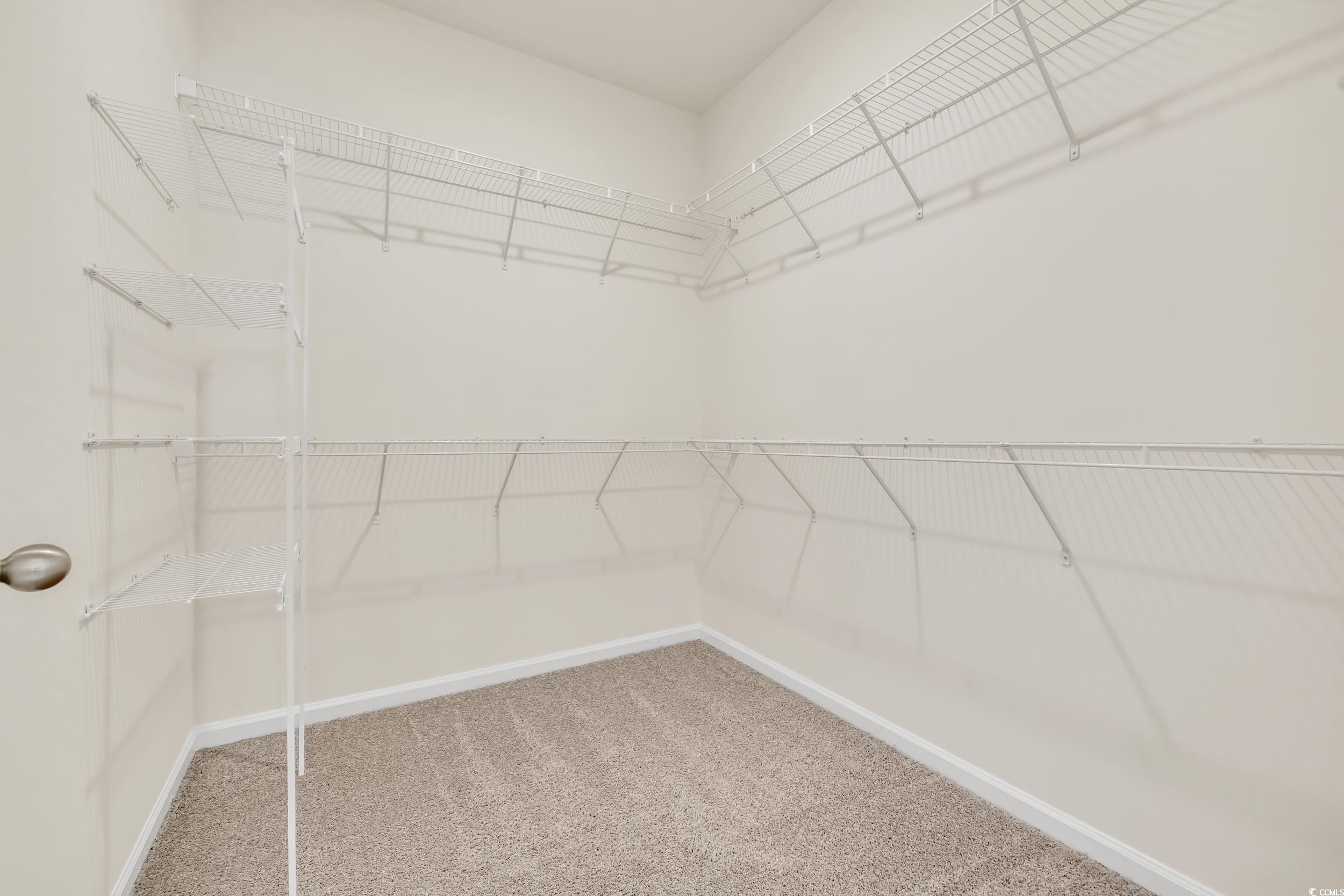 287 Palmetto Sand Loop Property Photo 33