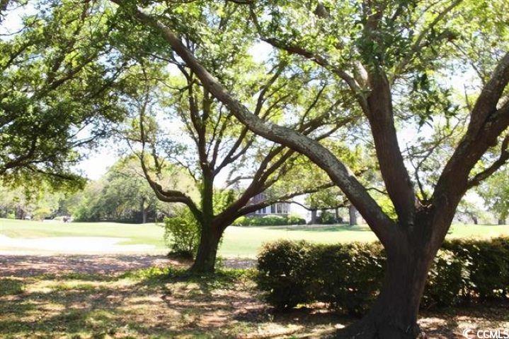 141 Twelve Oaks Dr. Property Photo 28