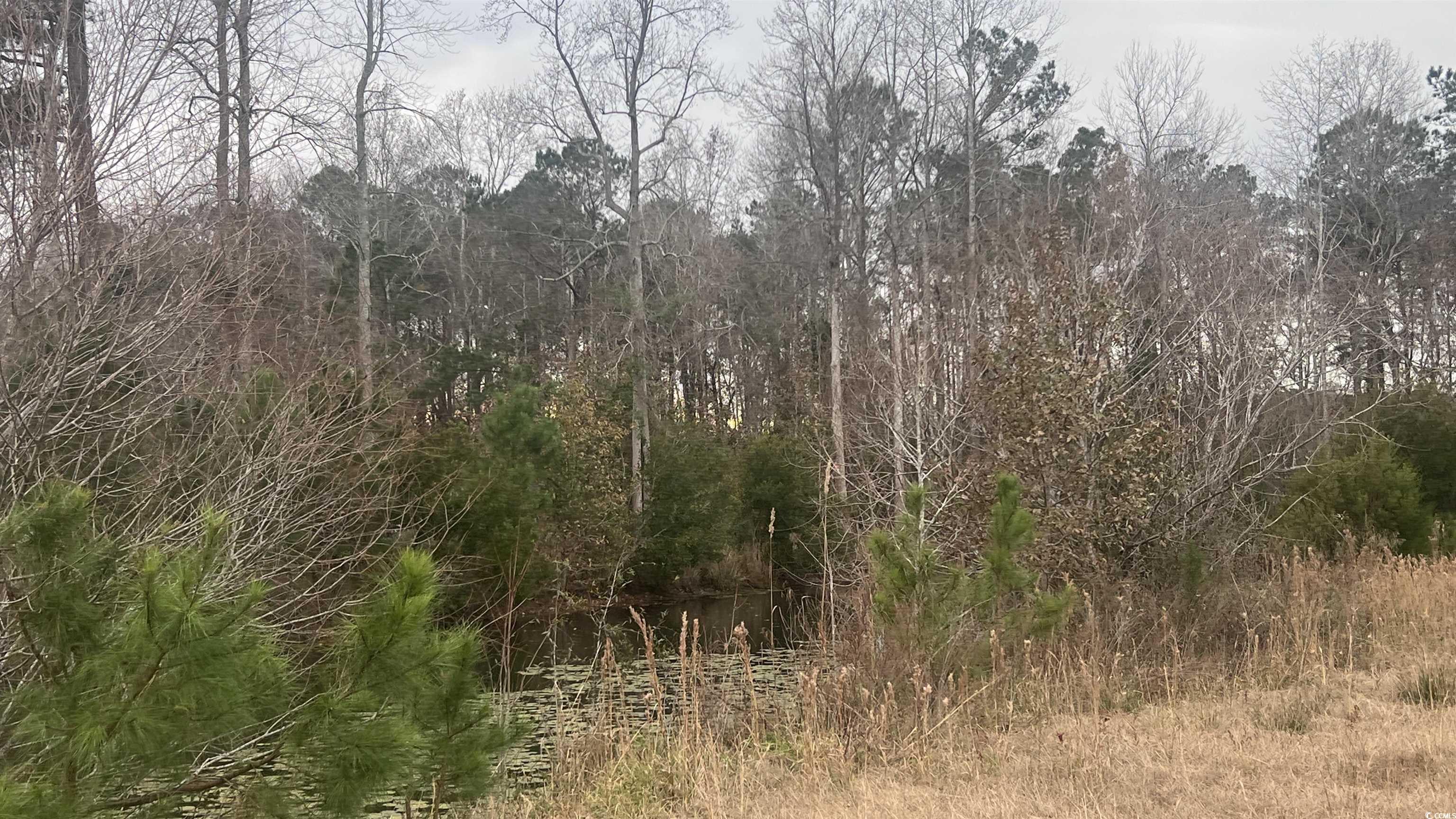3.23 Acres Highway 348 Property Photo 4