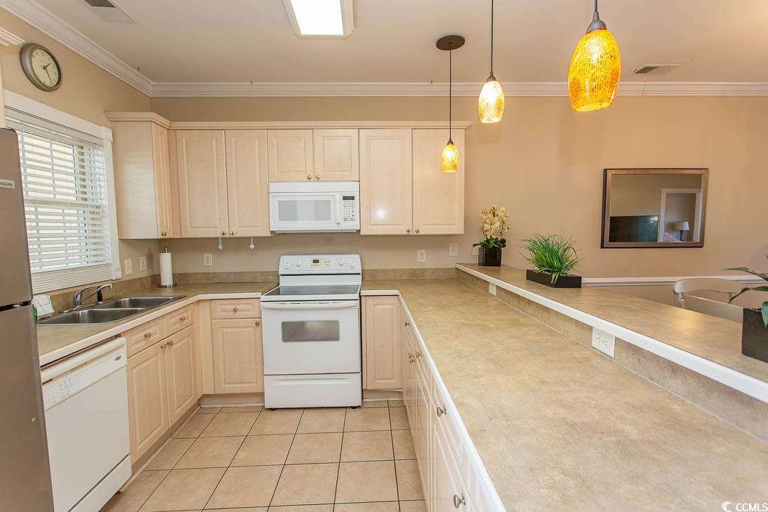 4809 Luster Leaf Circle Property Photo 3