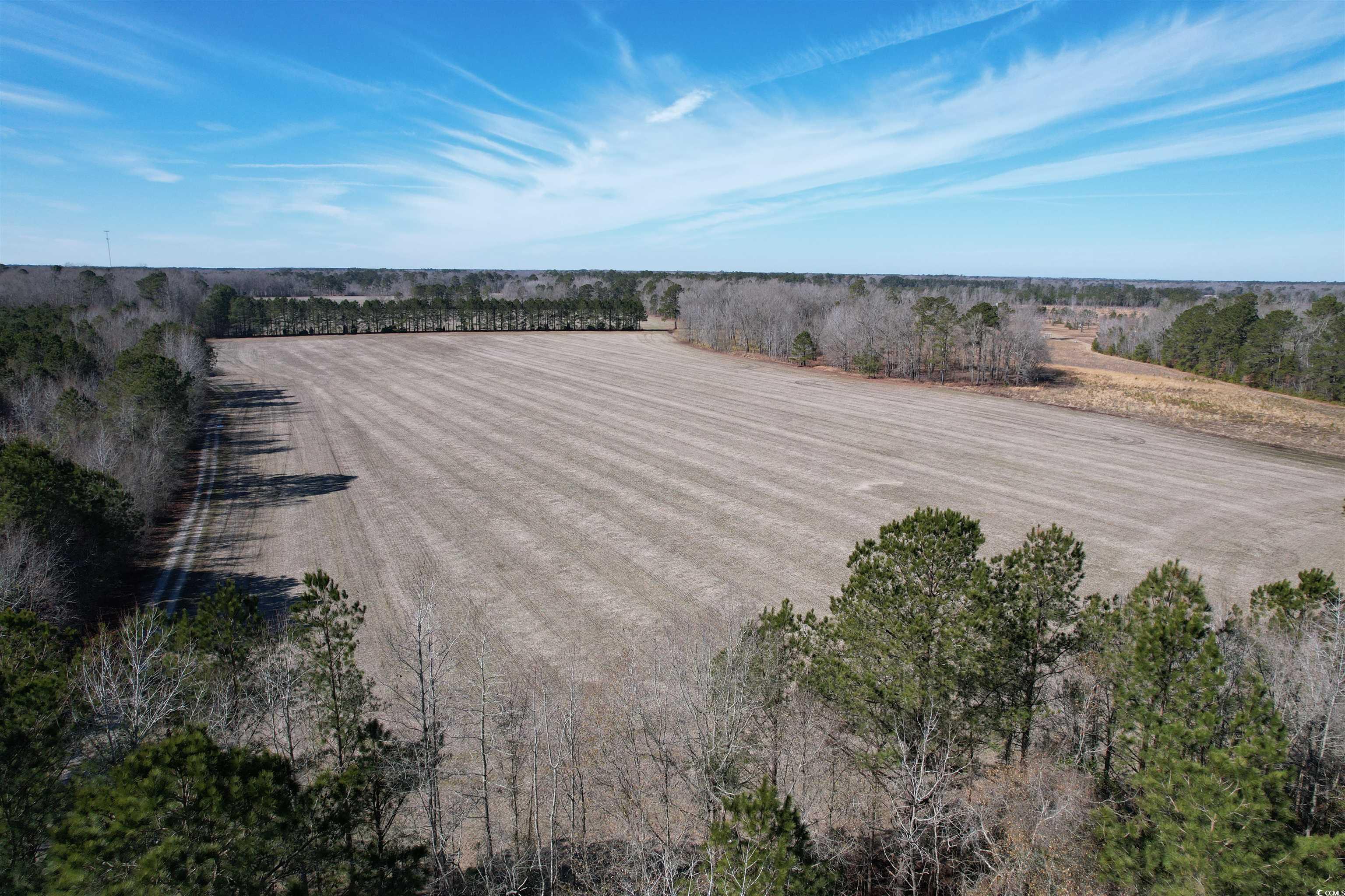 36.19 Acres-tbd Big Woods Rd. Property Photo 3