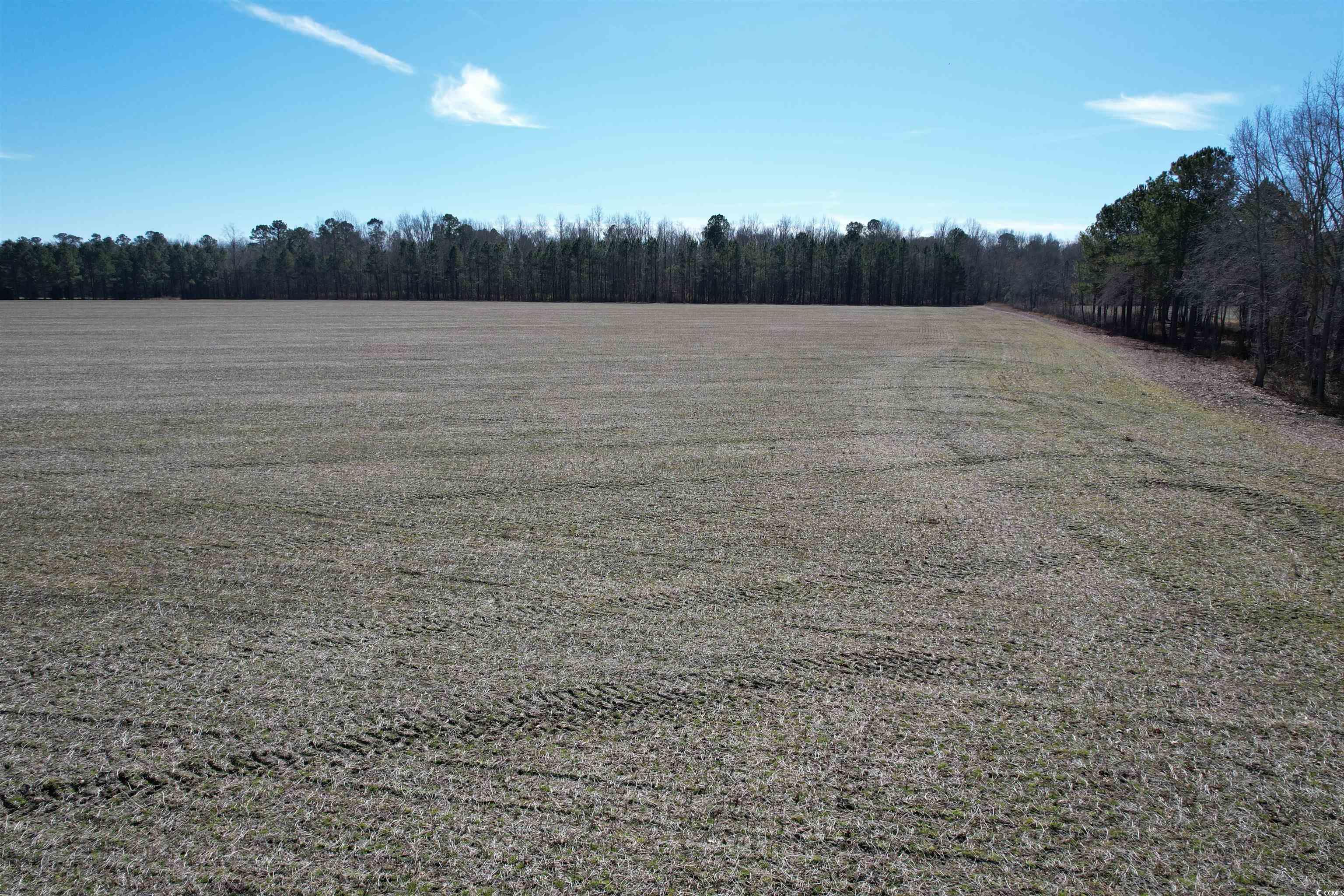 36.19 Acres-tbd Big Woods Rd. Property Photo 4