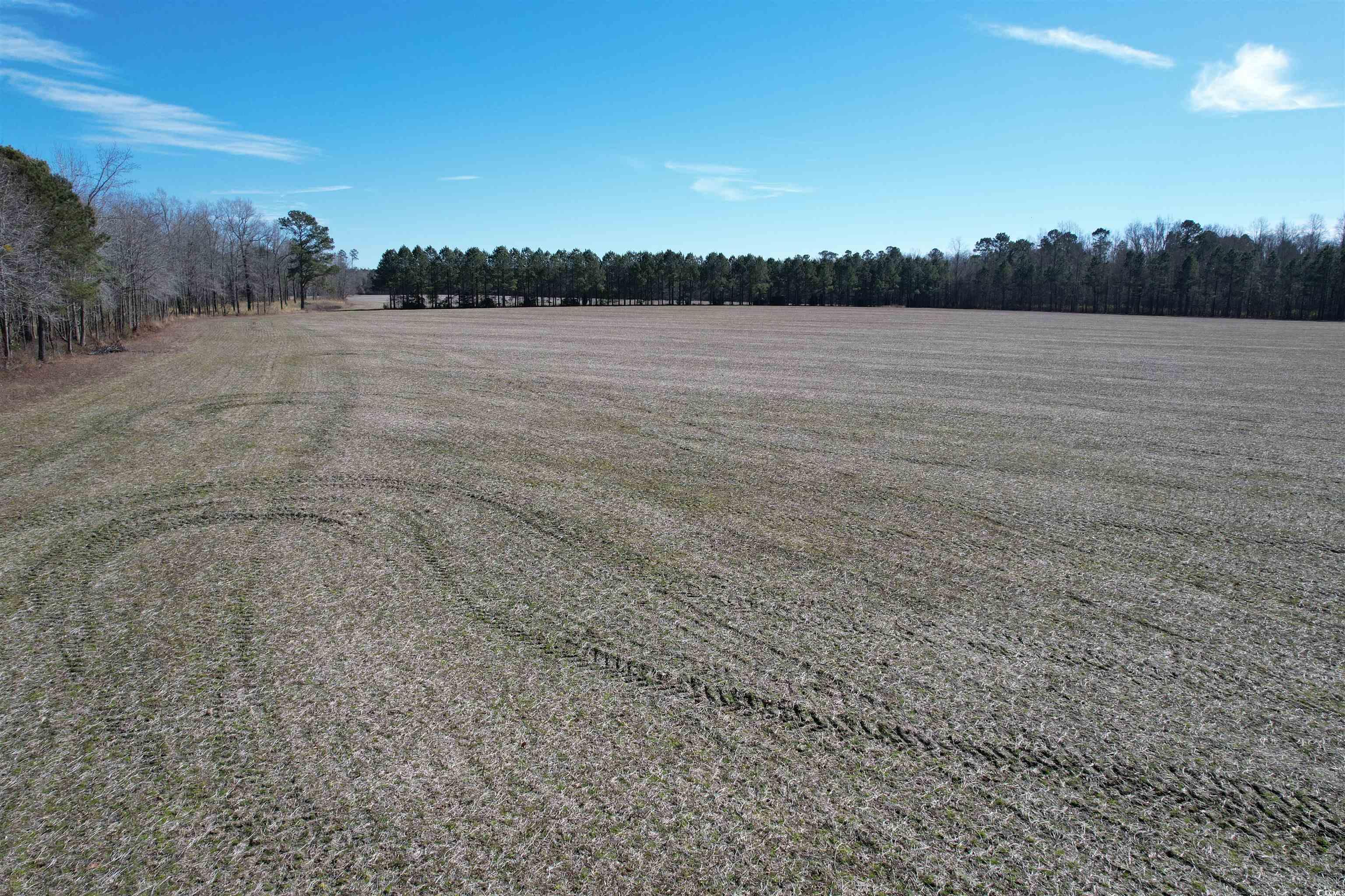 36.19 Acres-tbd Big Woods Rd. Property Photo 5