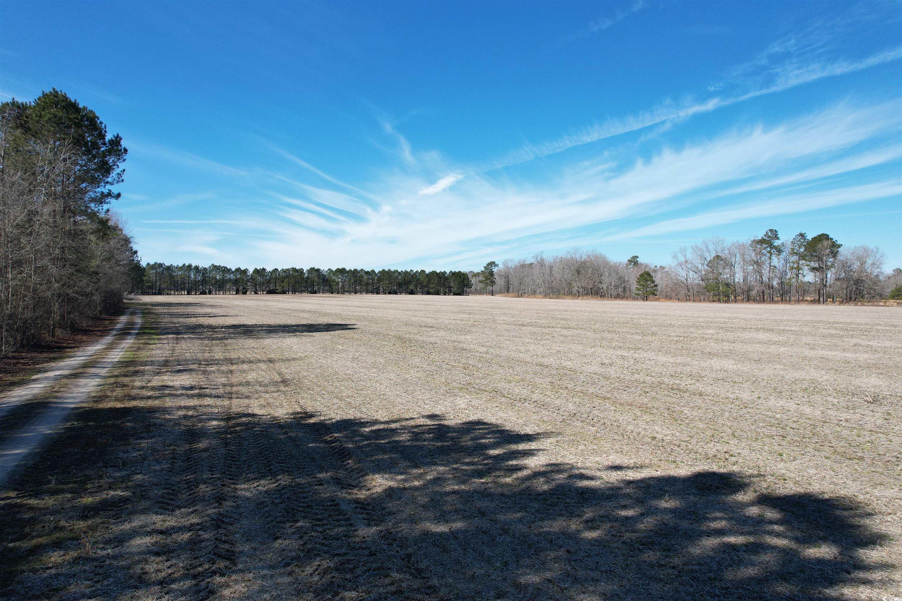36.19 Acres-tbd Big Woods Rd. Property Photo 6