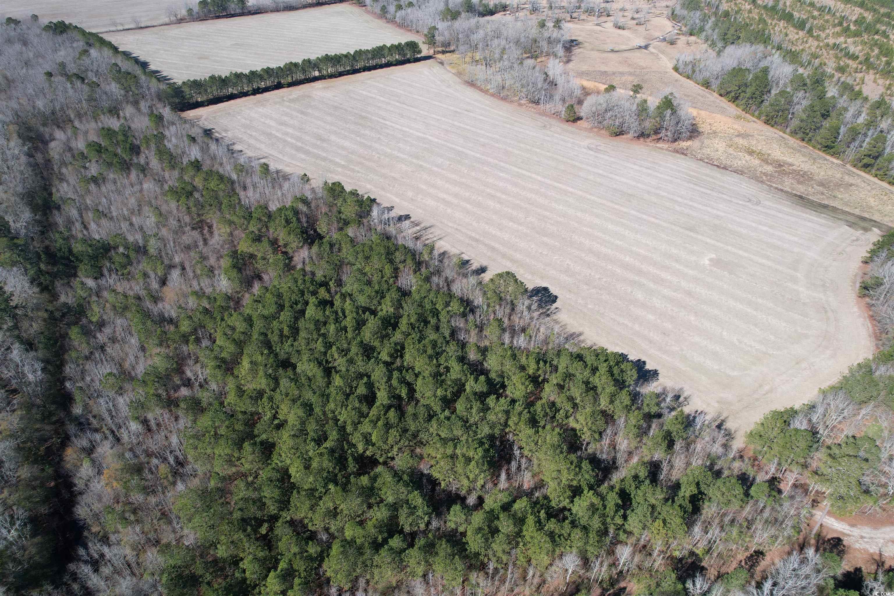 36.19 Acres-tbd Big Woods Rd. Property Photo 7