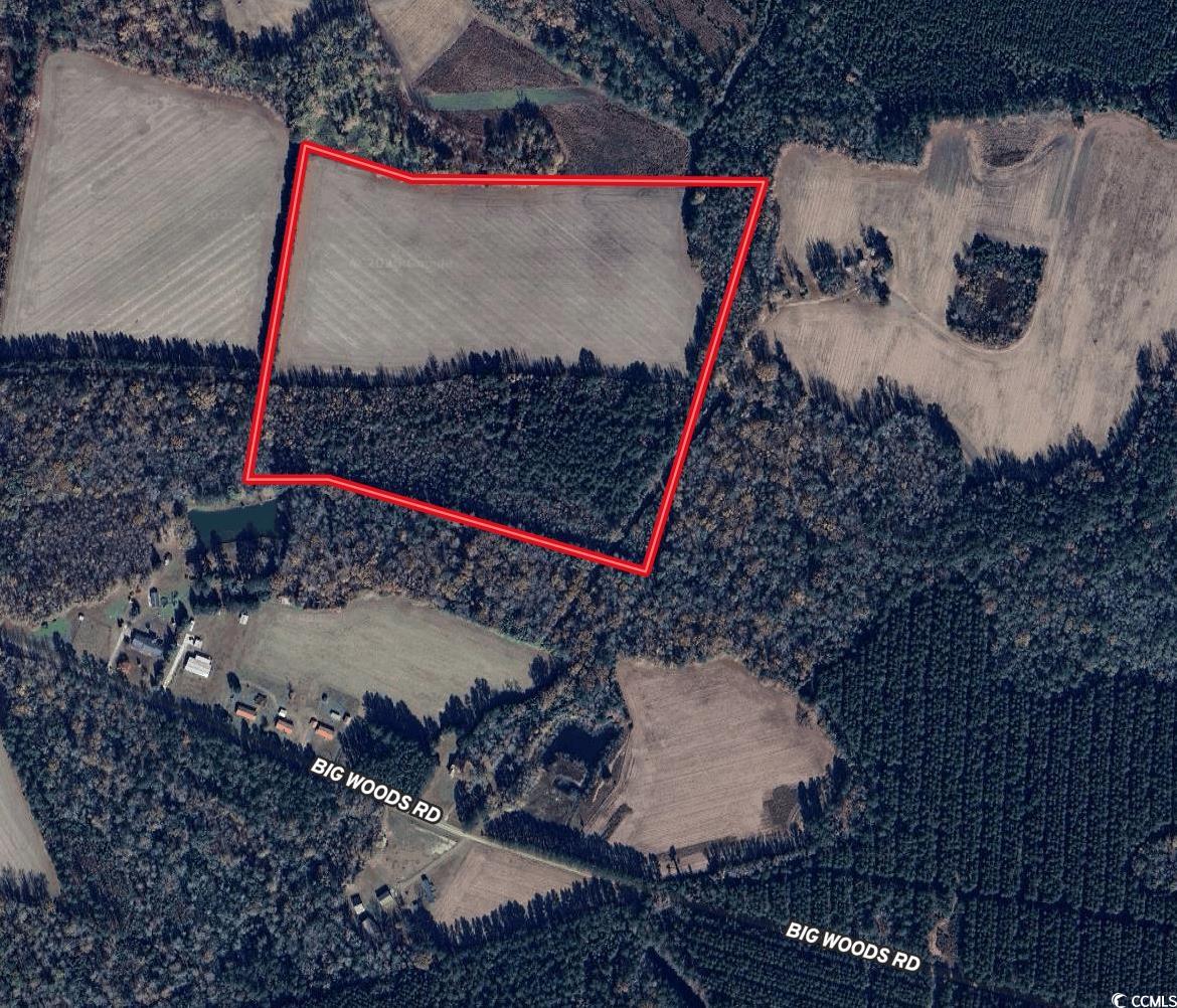 36.19 Acres-tbd Big Woods Rd. Property Photo 10