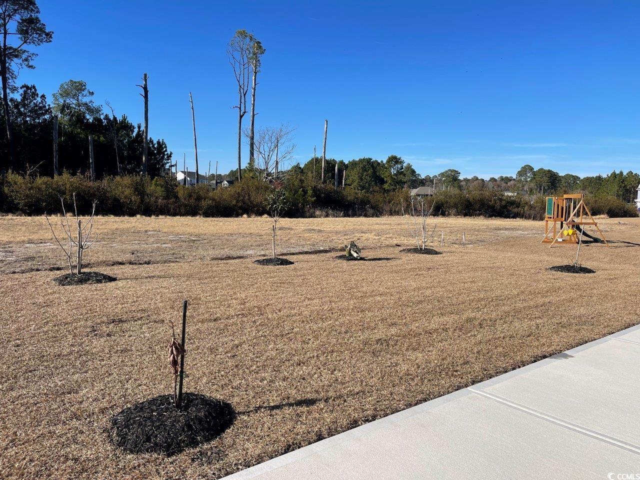 1519 Wood Stork Dr. Property Photo 40