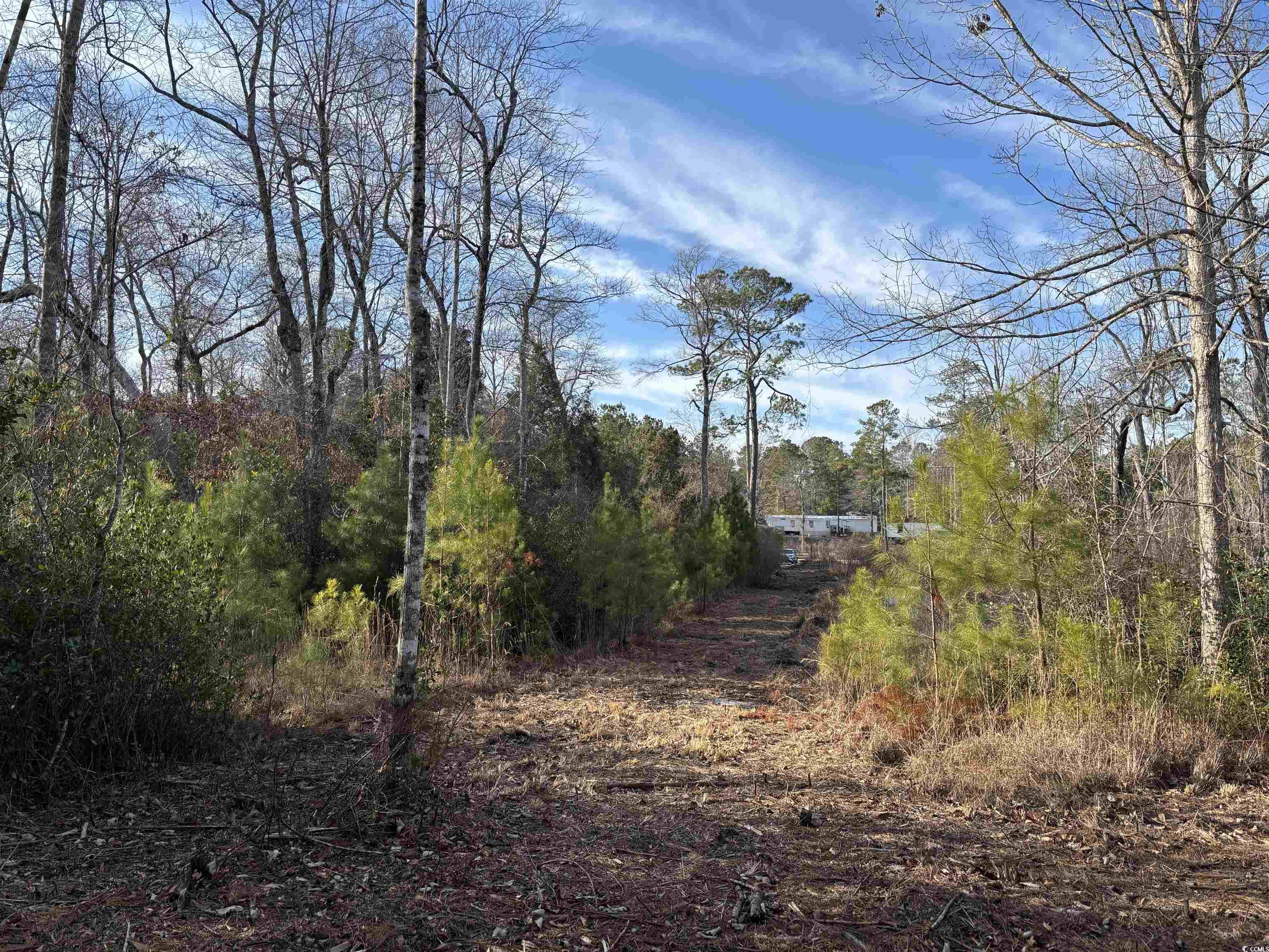 1223 Rainbow Dr. Property Photo 5