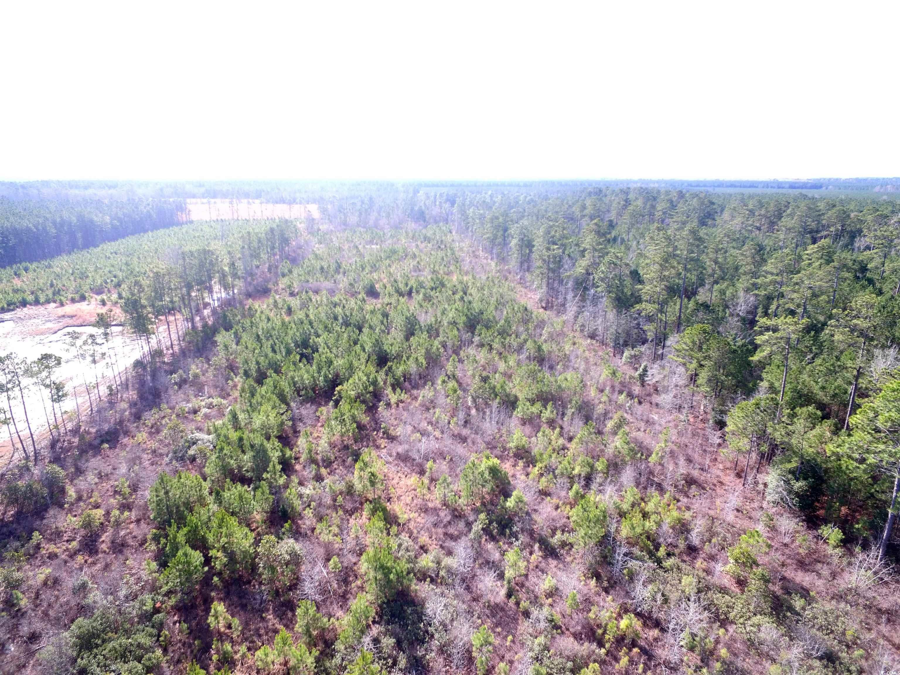 Tbd Southwind Rd Property Photo 5