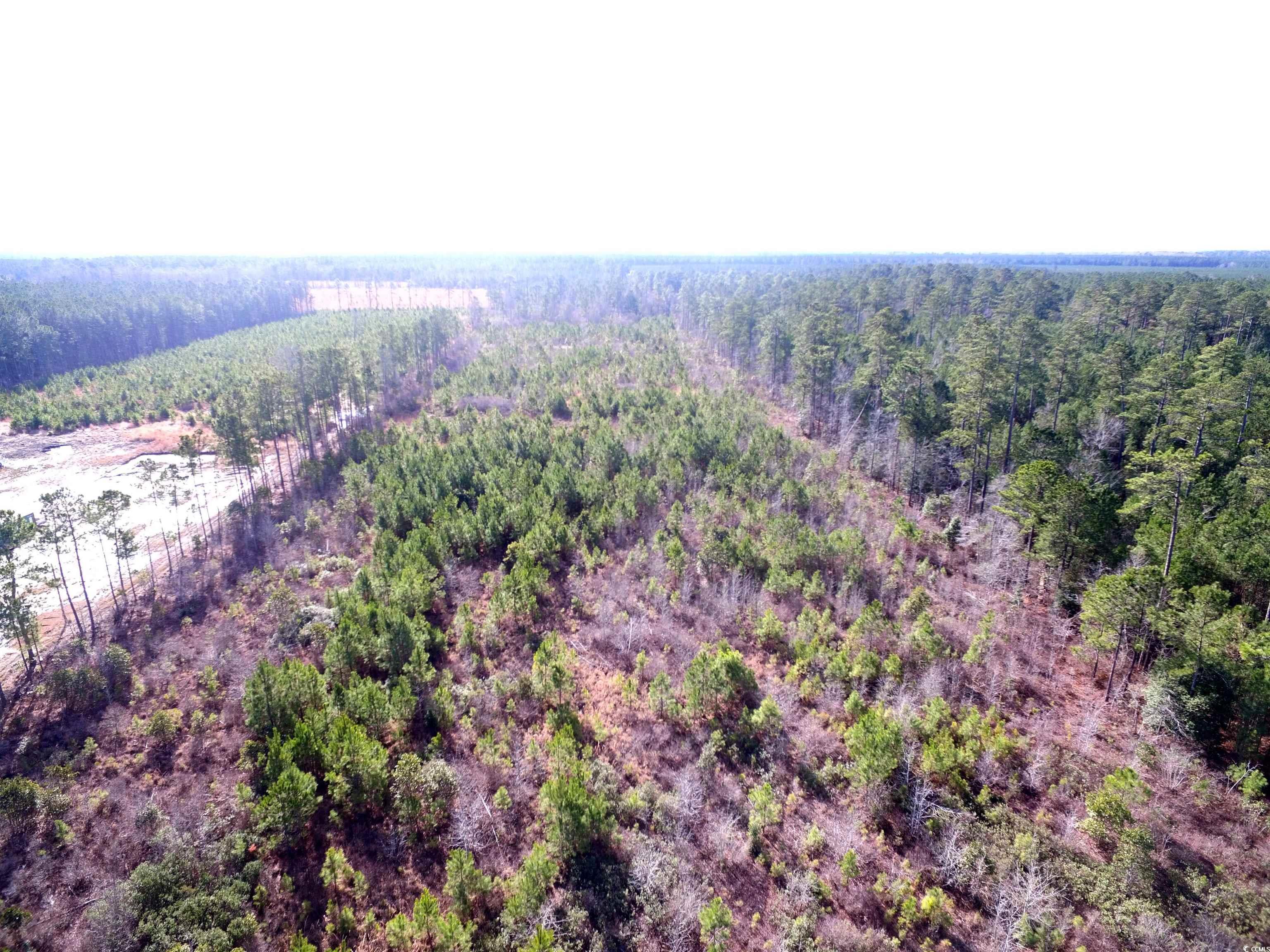 Tbd Southwind Rd Property Photo 6