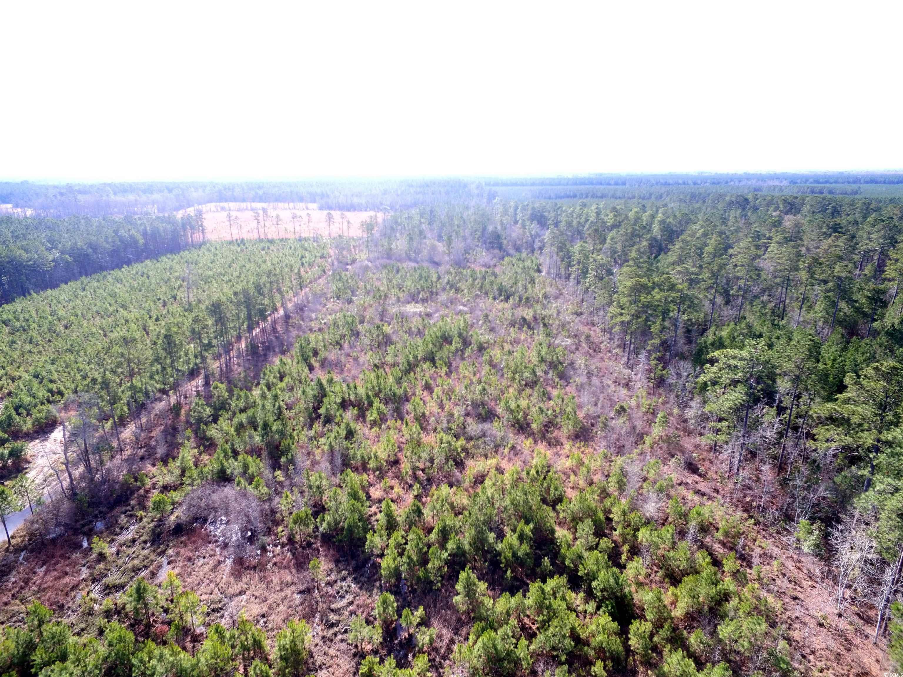 Tbd Southwind Rd Property Photo 8