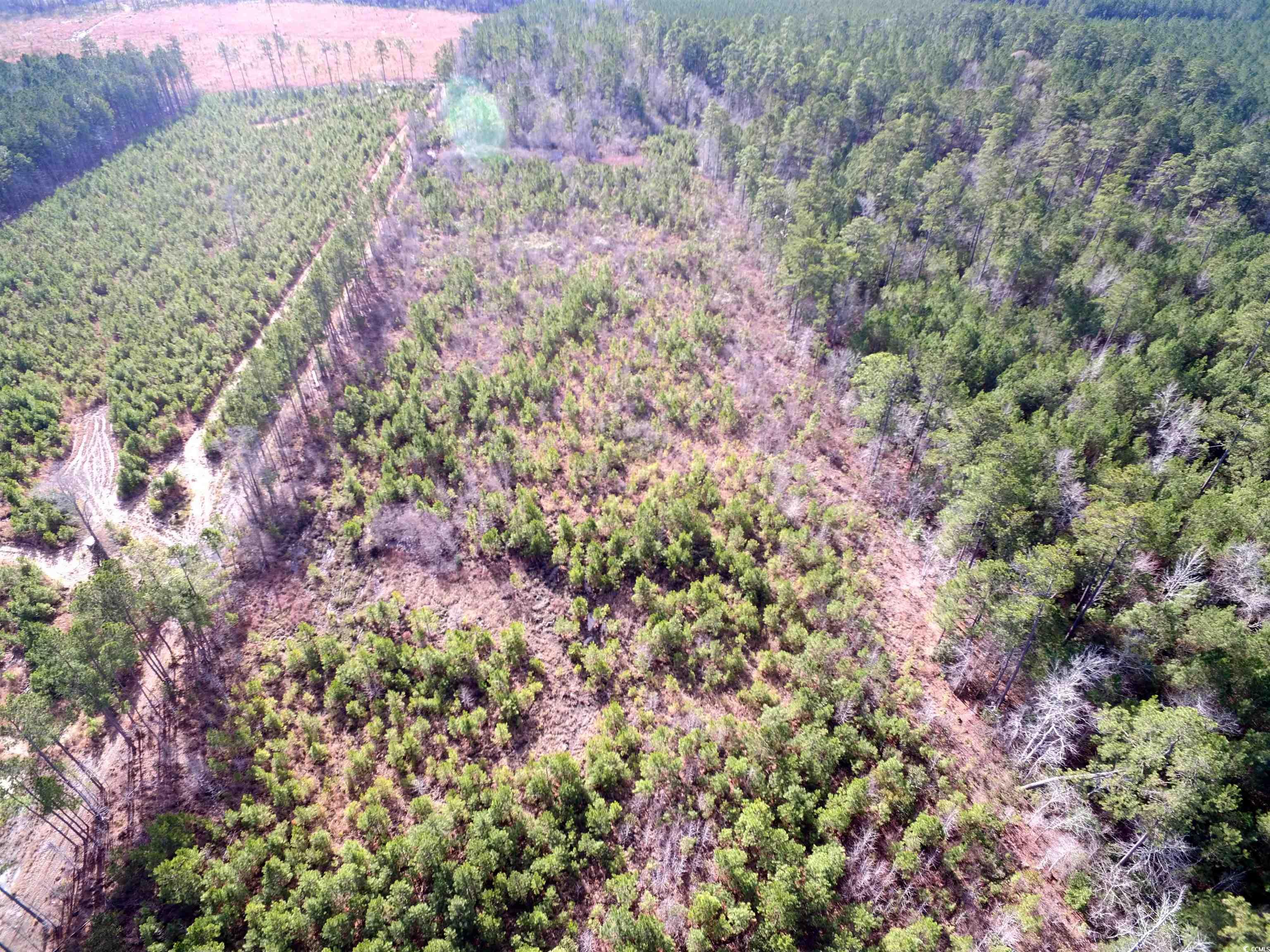Tbd Southwind Rd Property Photo 16